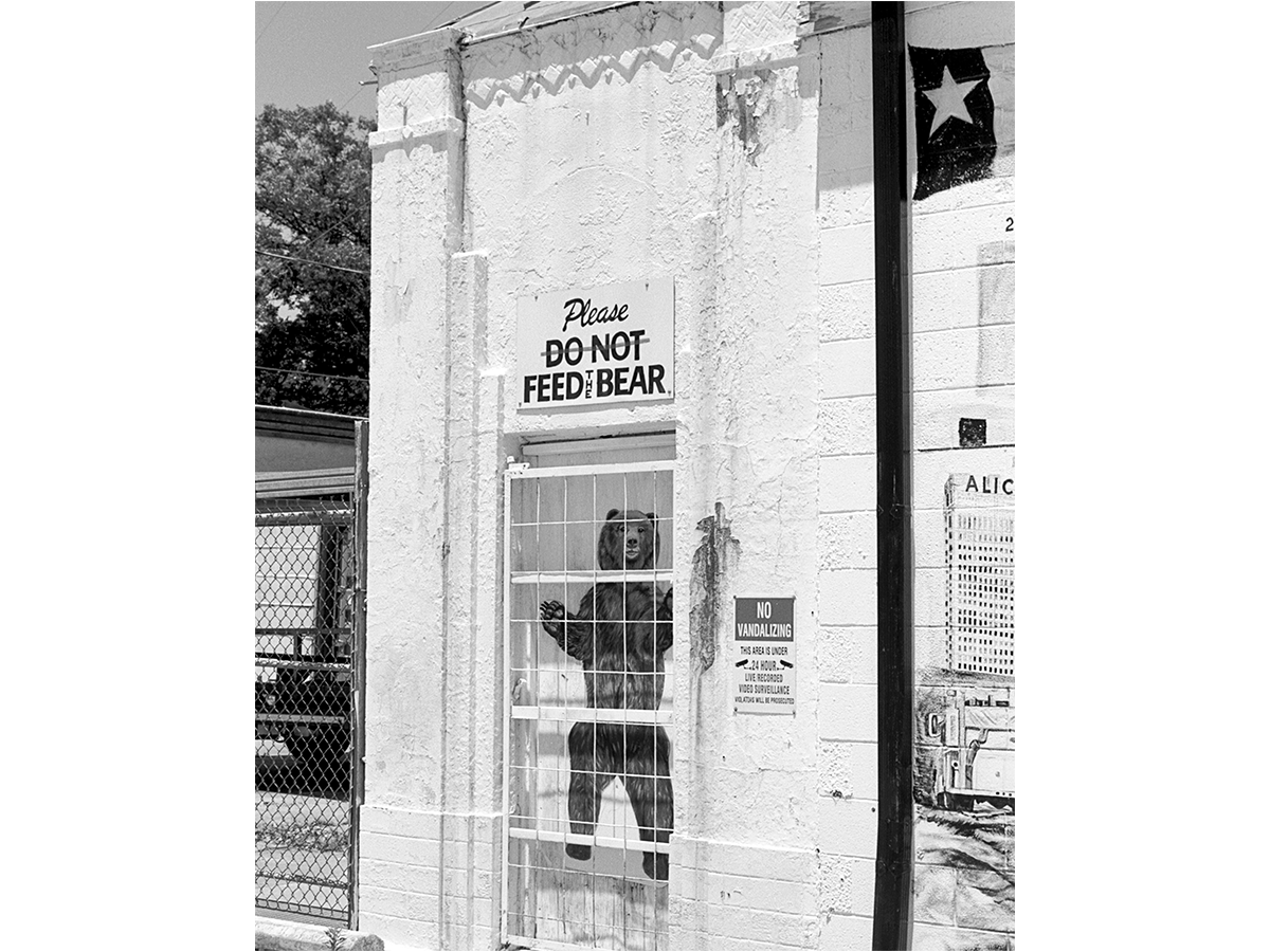 Do Not Feed The Bear