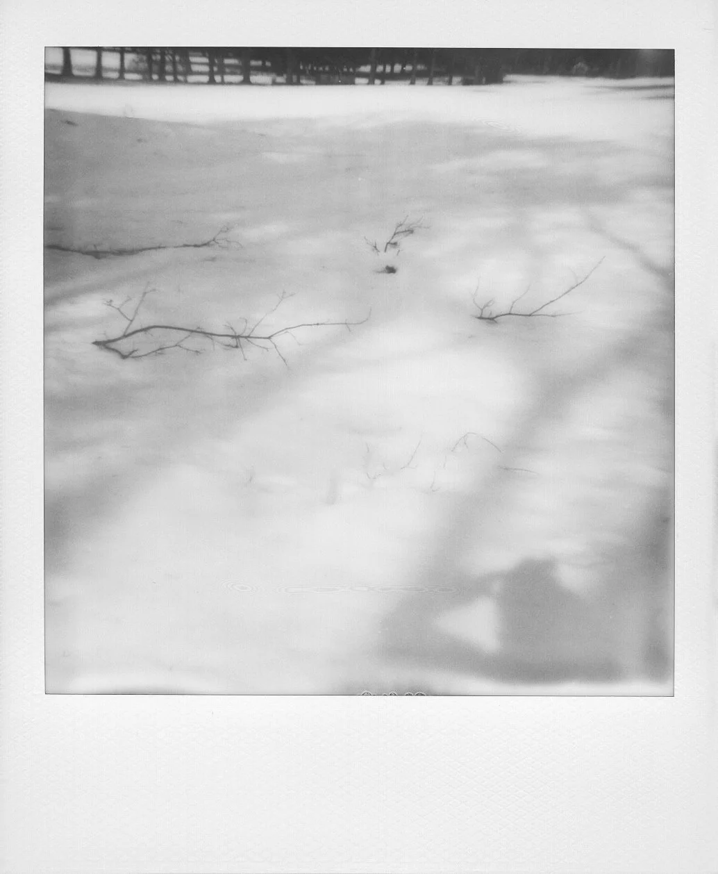 polaroid-upstate-nyc-blackandwhite-05.jpg