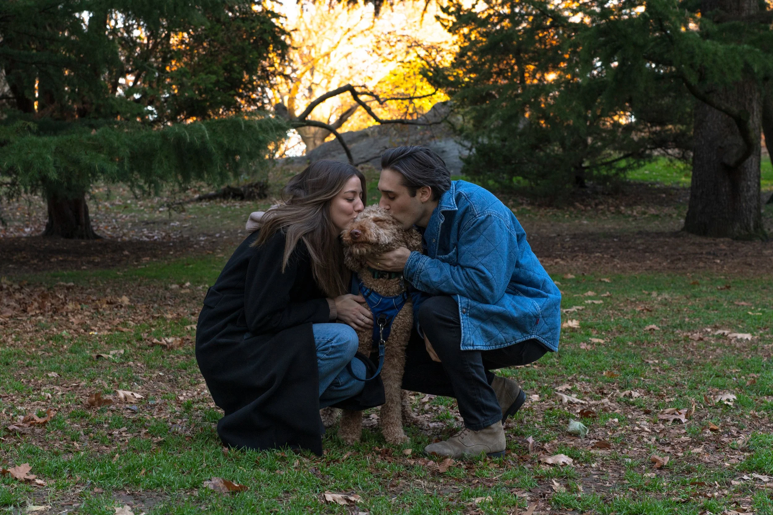 A couple kissing their dog in a park during sunset while kneeling on the grass surrounded by trees.
