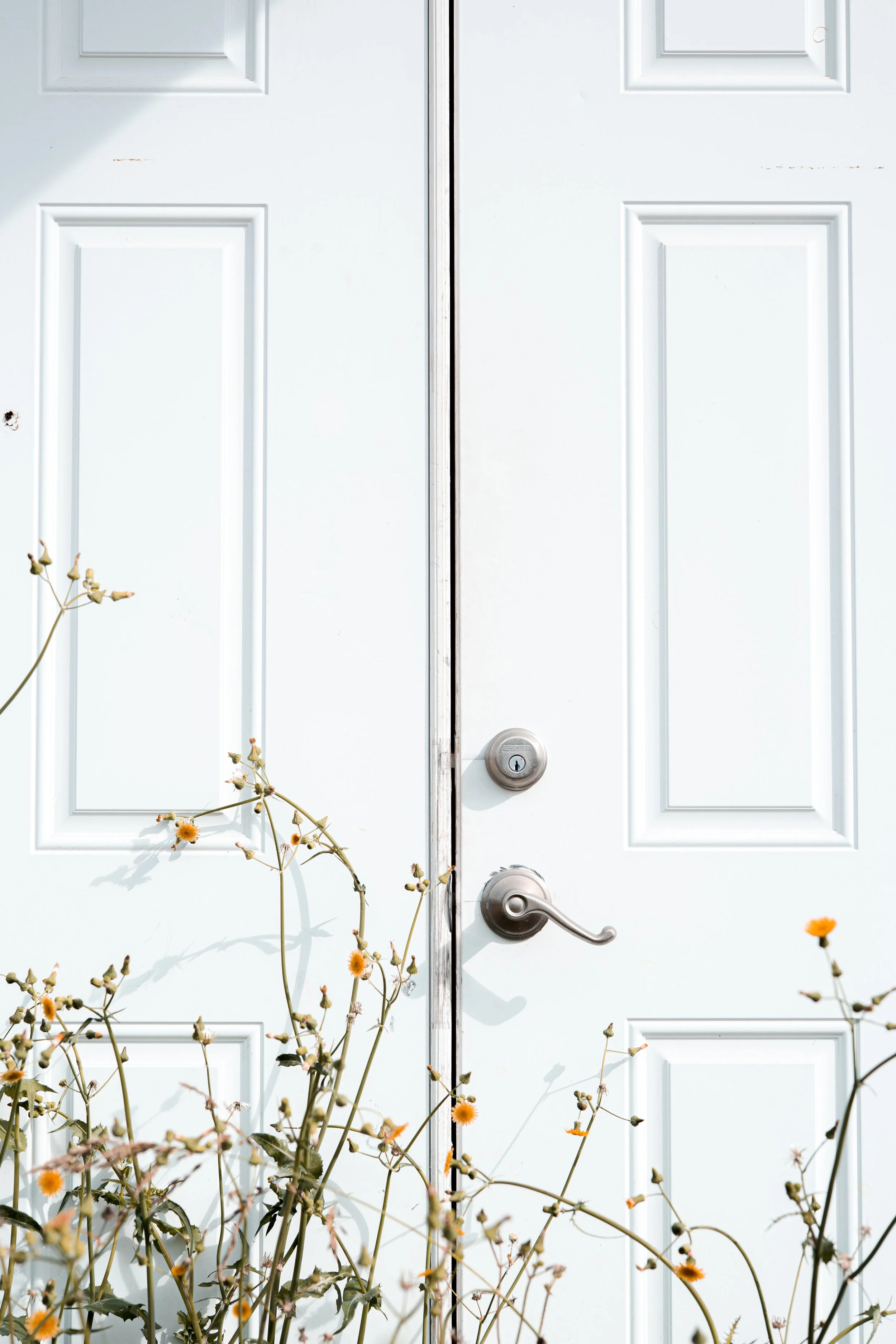 White double doors with plants and yellow-orange flowers in front of them.