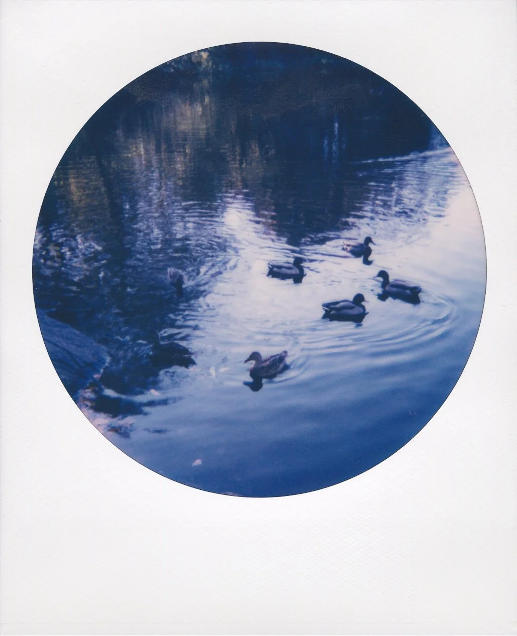 polaroid-new-york-city-round-06.jpg