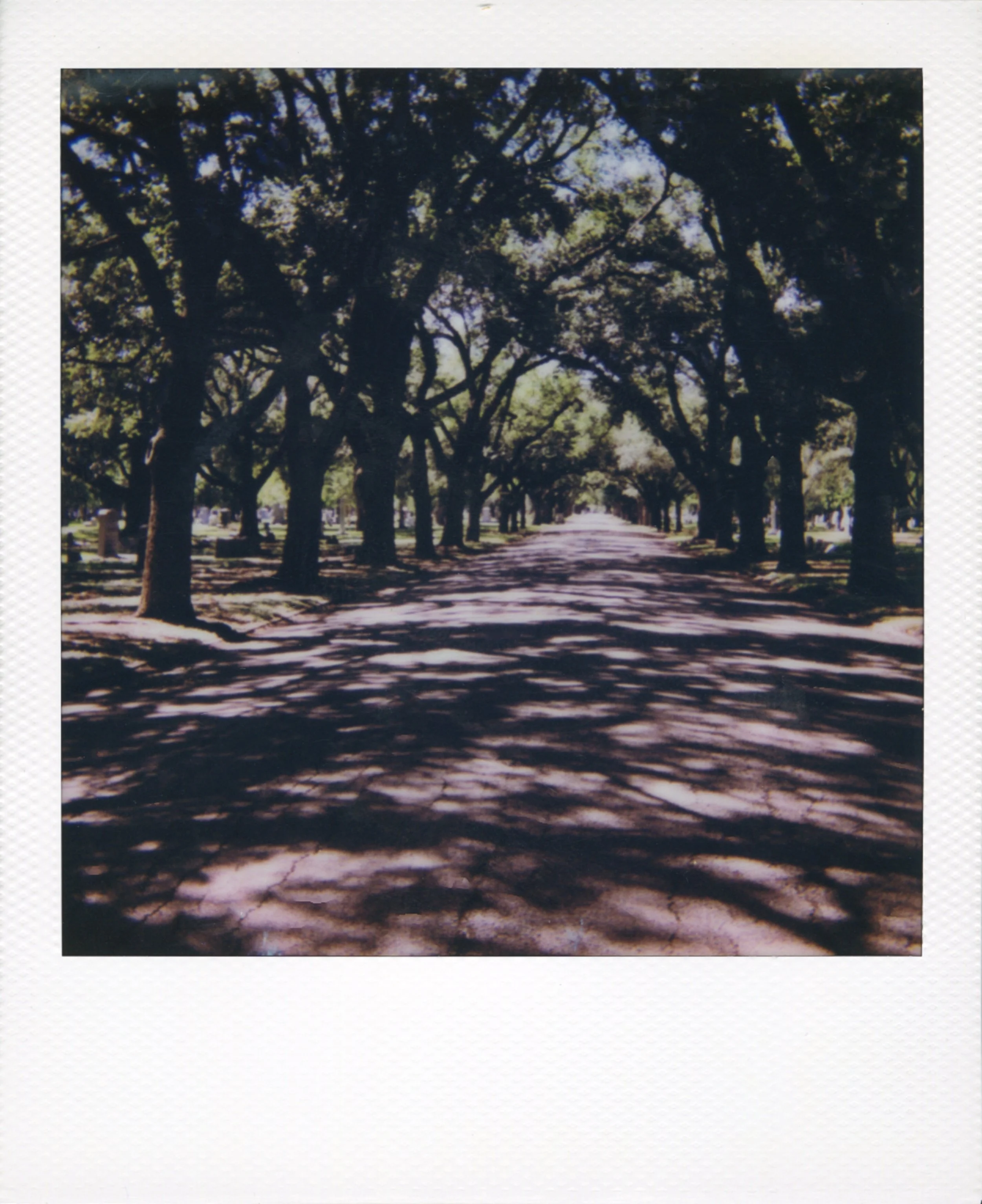 polaroid-waco-texas-09.jpg