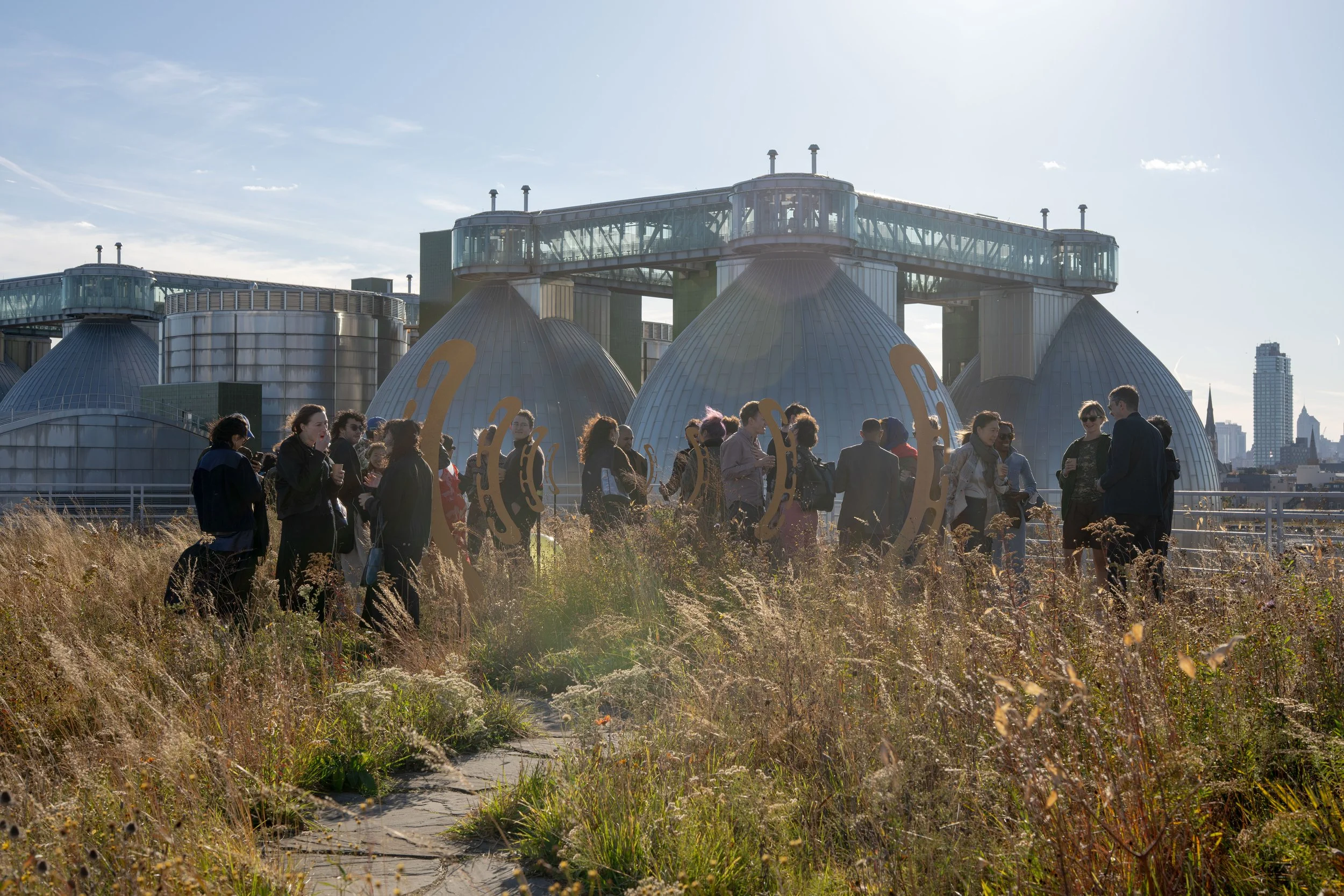 A group of people gathered outdoors on a rooftop with tall grass and wildflowers, with a unique building featuring domes in the background, under a bright sky.