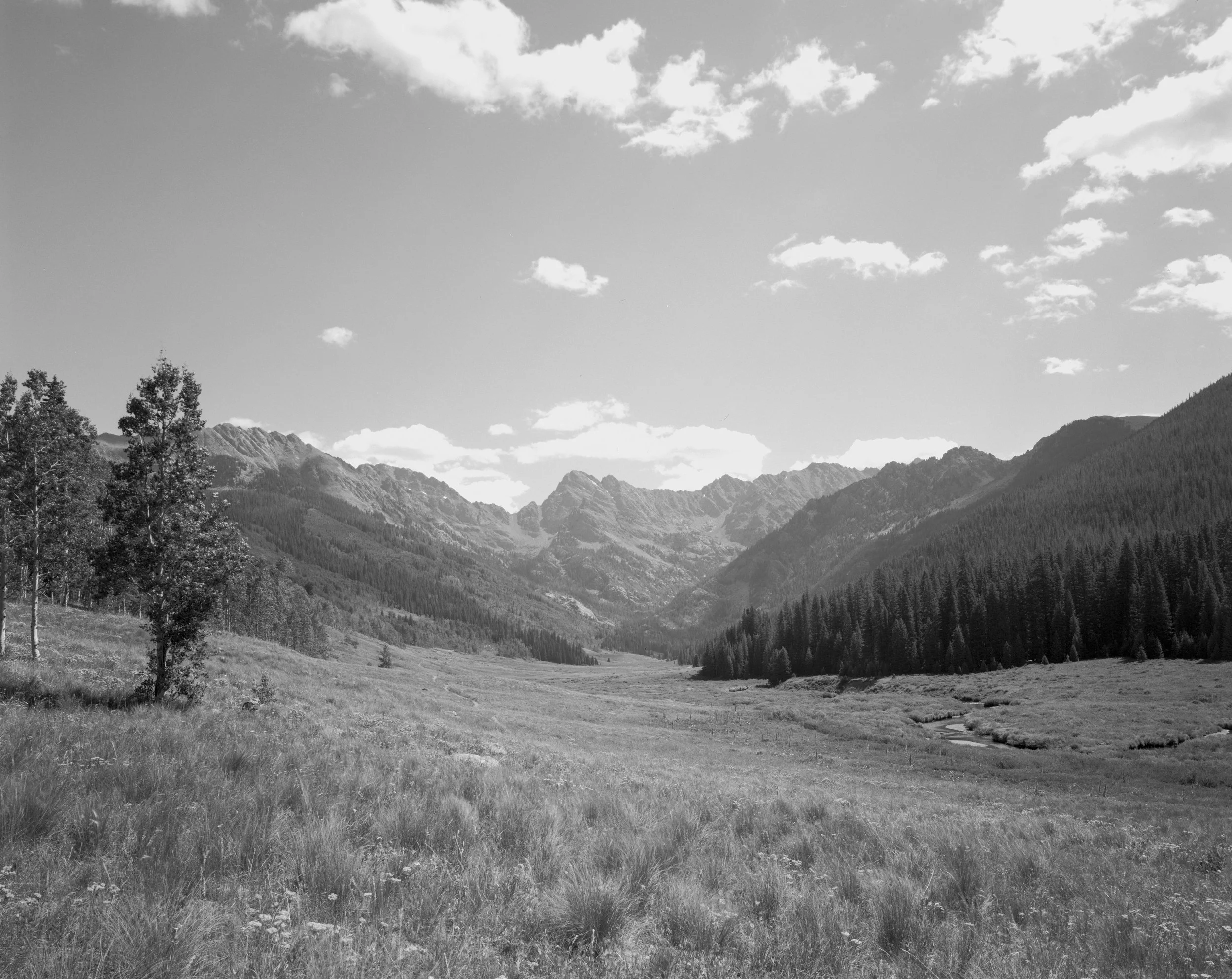 Black and white photo of a mountainous landscape with trees, grassy fields, and a river.