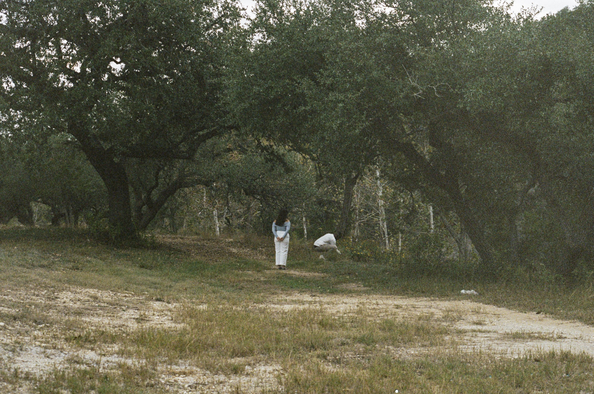 Two people walk along a dirt path in a wooded area with large, sprawling trees.