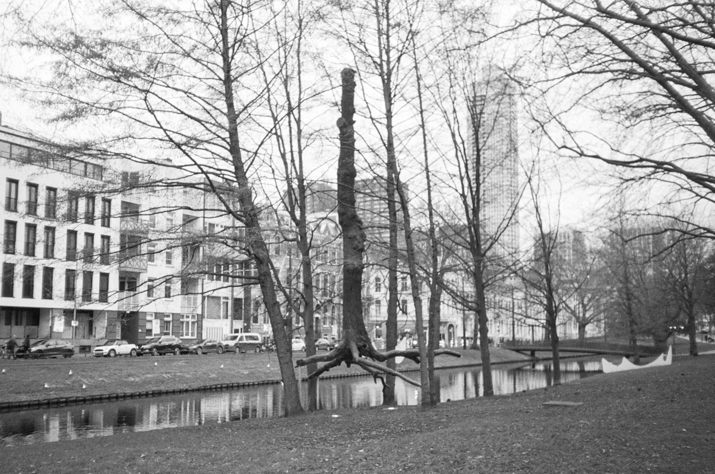 A black and white photo of a park with a small canal, leafless trees, and buildings in the background.