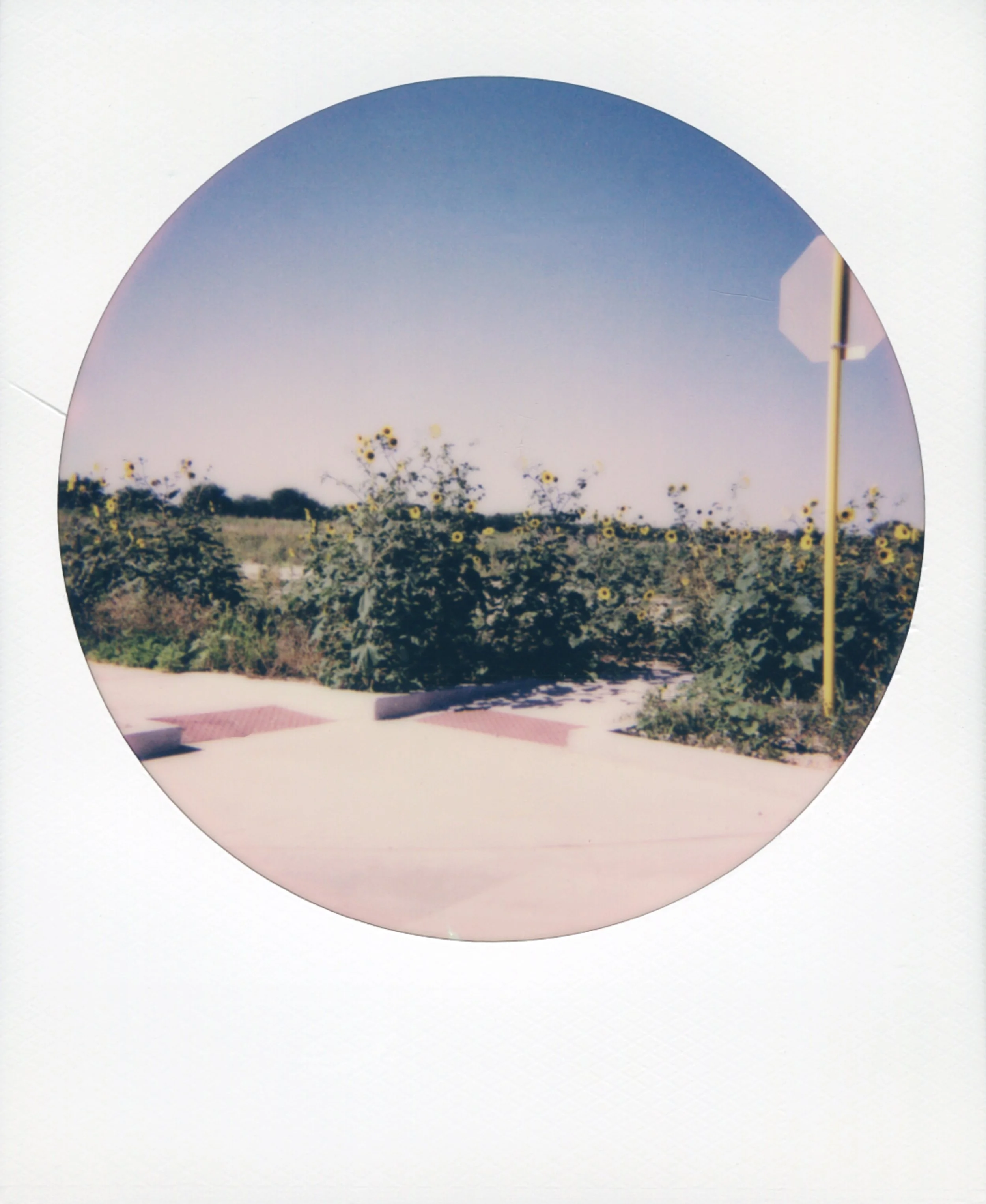 polaroid-waco-texas-round-13.jpg