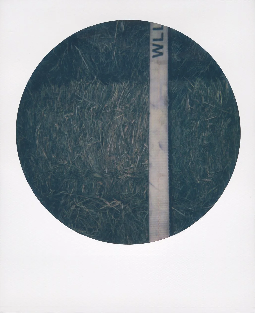 polaroid-waco-texas-round-04.jpg