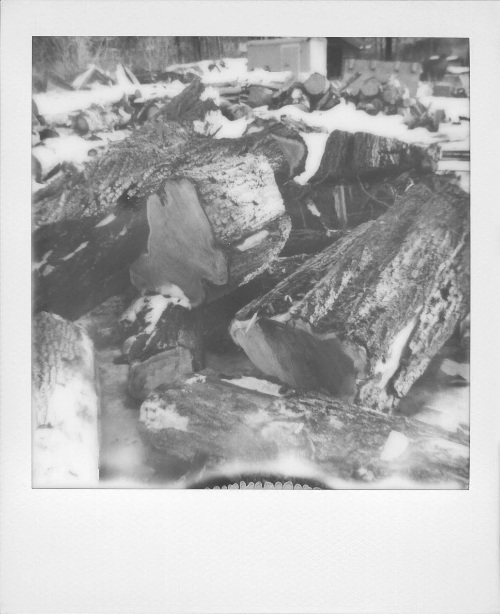 polaroid-upstate-nyc-blackandwhite-04.jpg