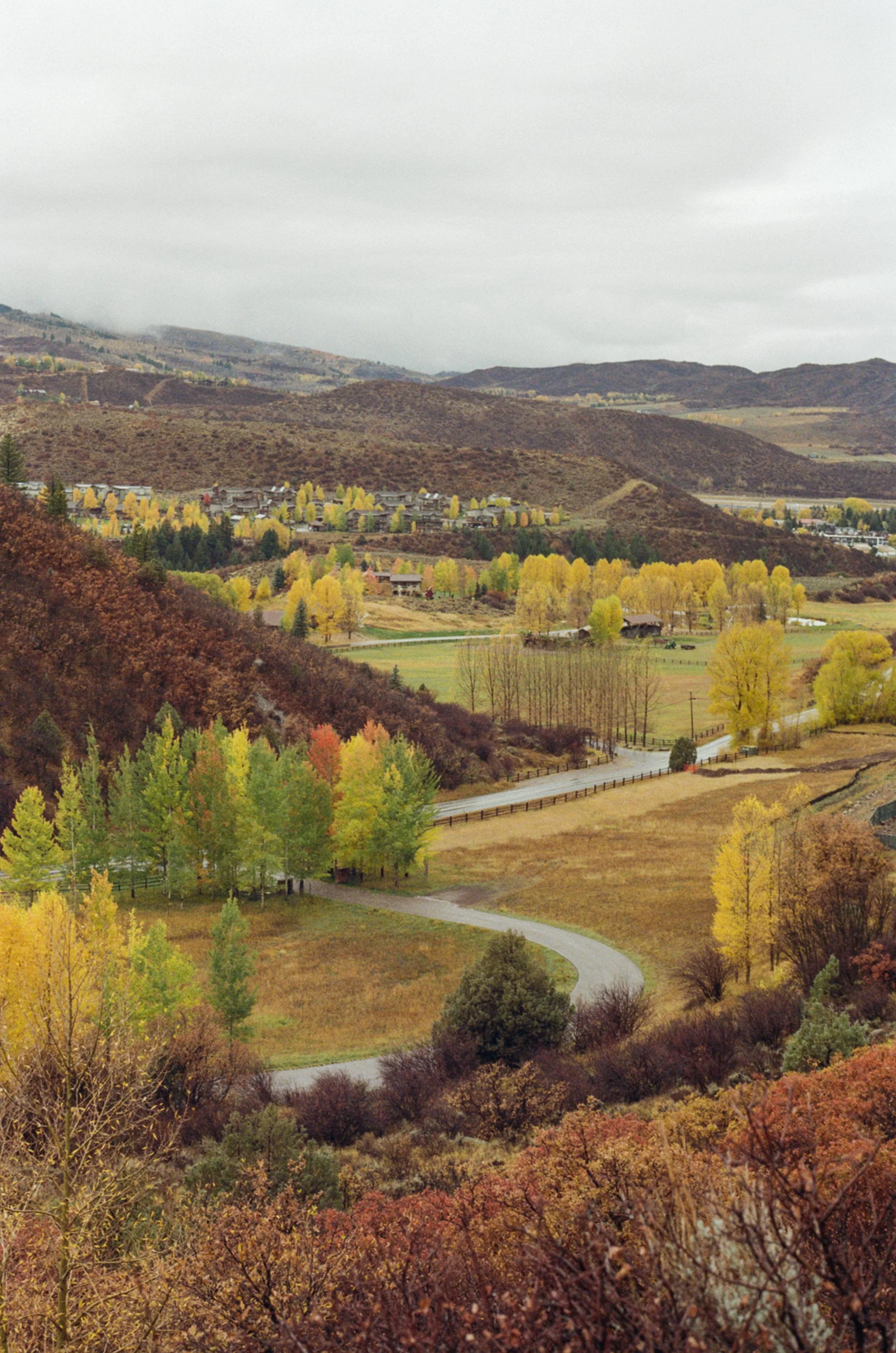 Scenic landscape with rolling hills, colorful trees in fall foliage, a winding road, and a small town in the distance under an overcast sky.
