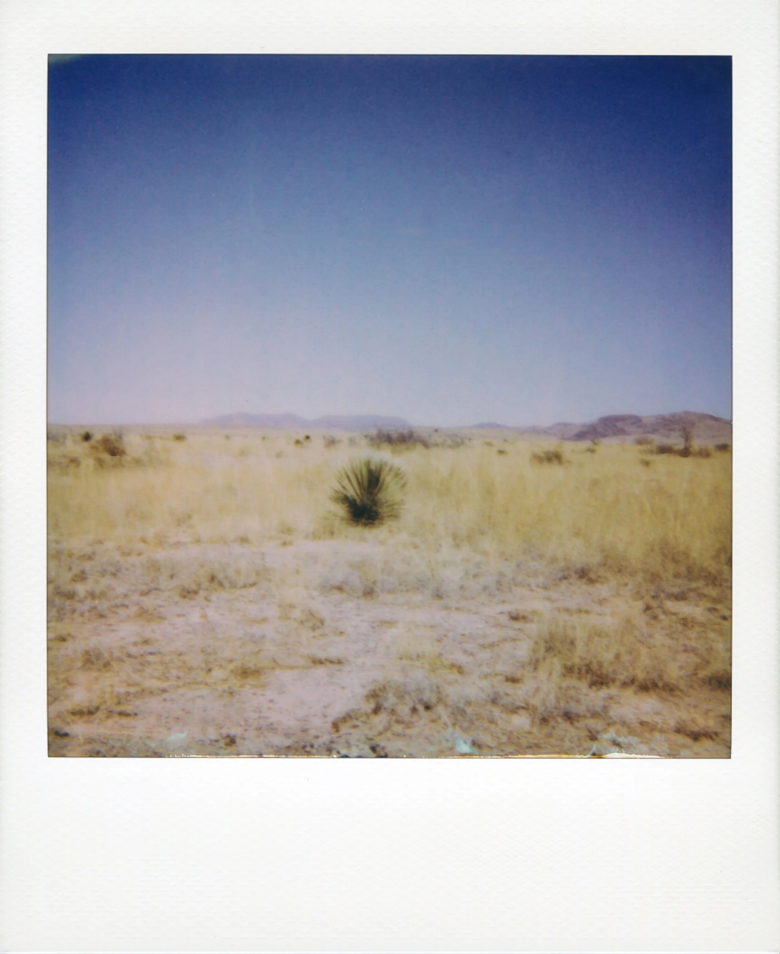 polaroid-west-texas-field.jpg