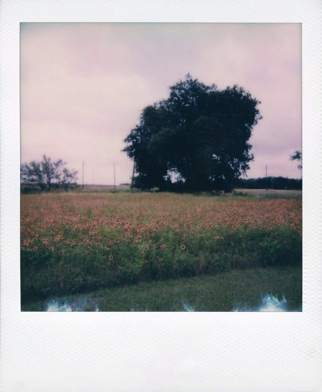 polaroid-waco-texas-03.jpg