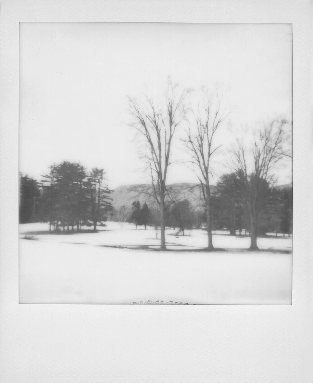 Square-frame black and white polaroid photo of leafless trees in a snow-covered park or landscape with distant hills or mountains in the background.