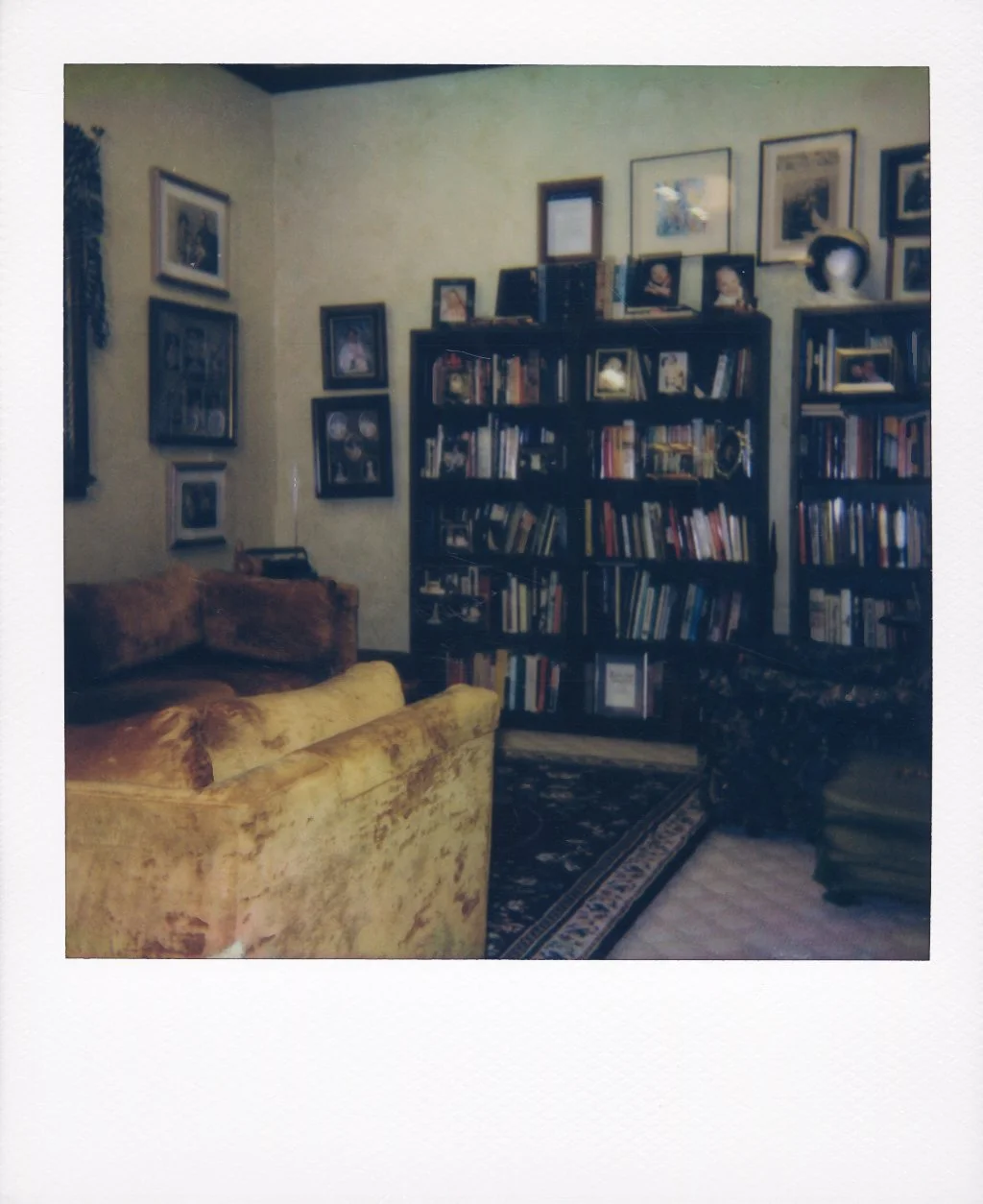 polaroid-portrait-interior-01.jpg