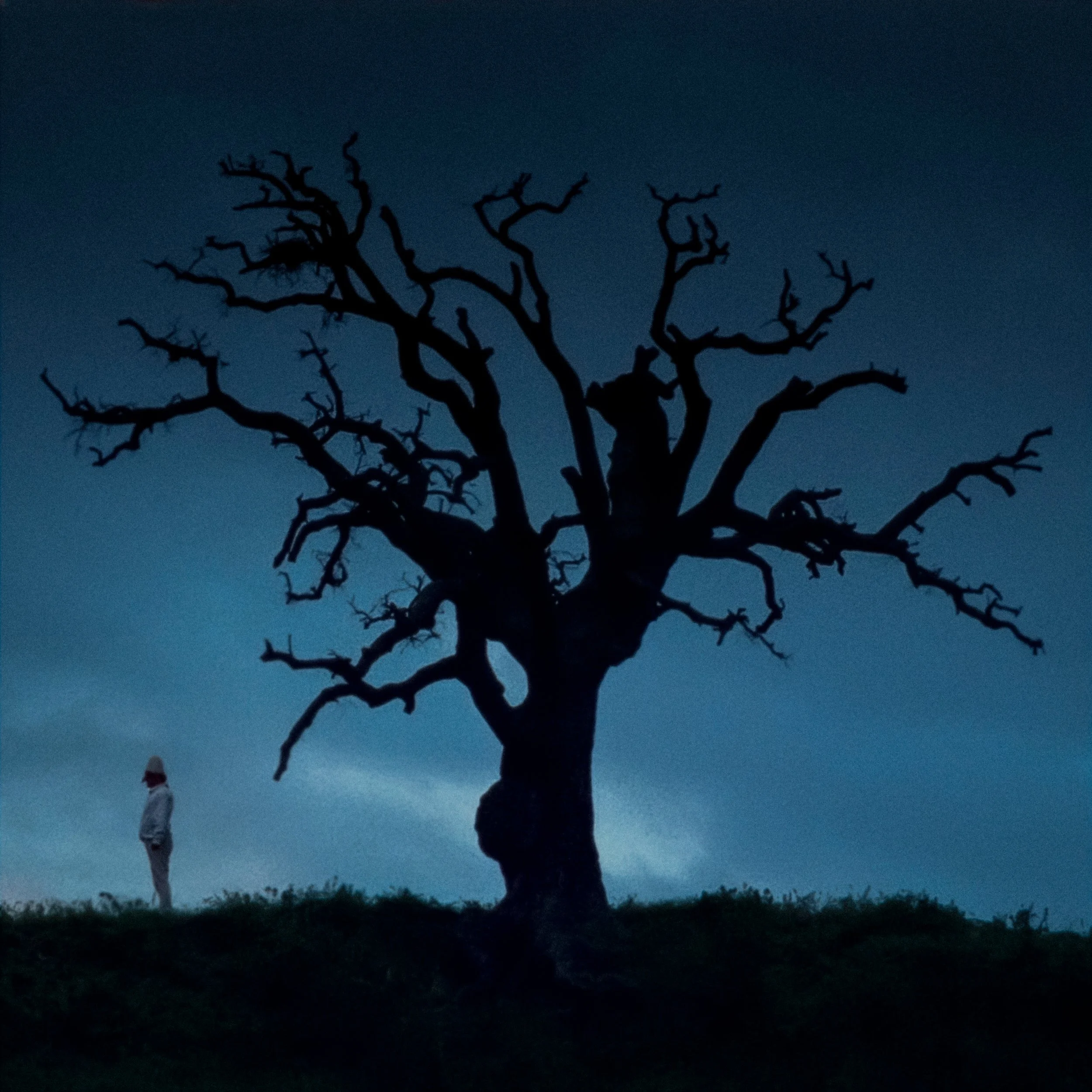 20251226 - Bella e Perduta still_Donker_JonasVerhulst.jpeg