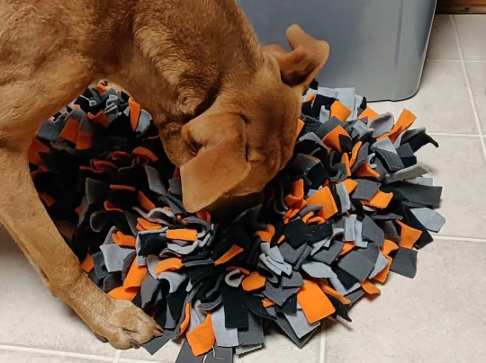 DIY Snuffle Ball for Dogs: How to Make a Snuffle Ball in 10 Easy Steps!