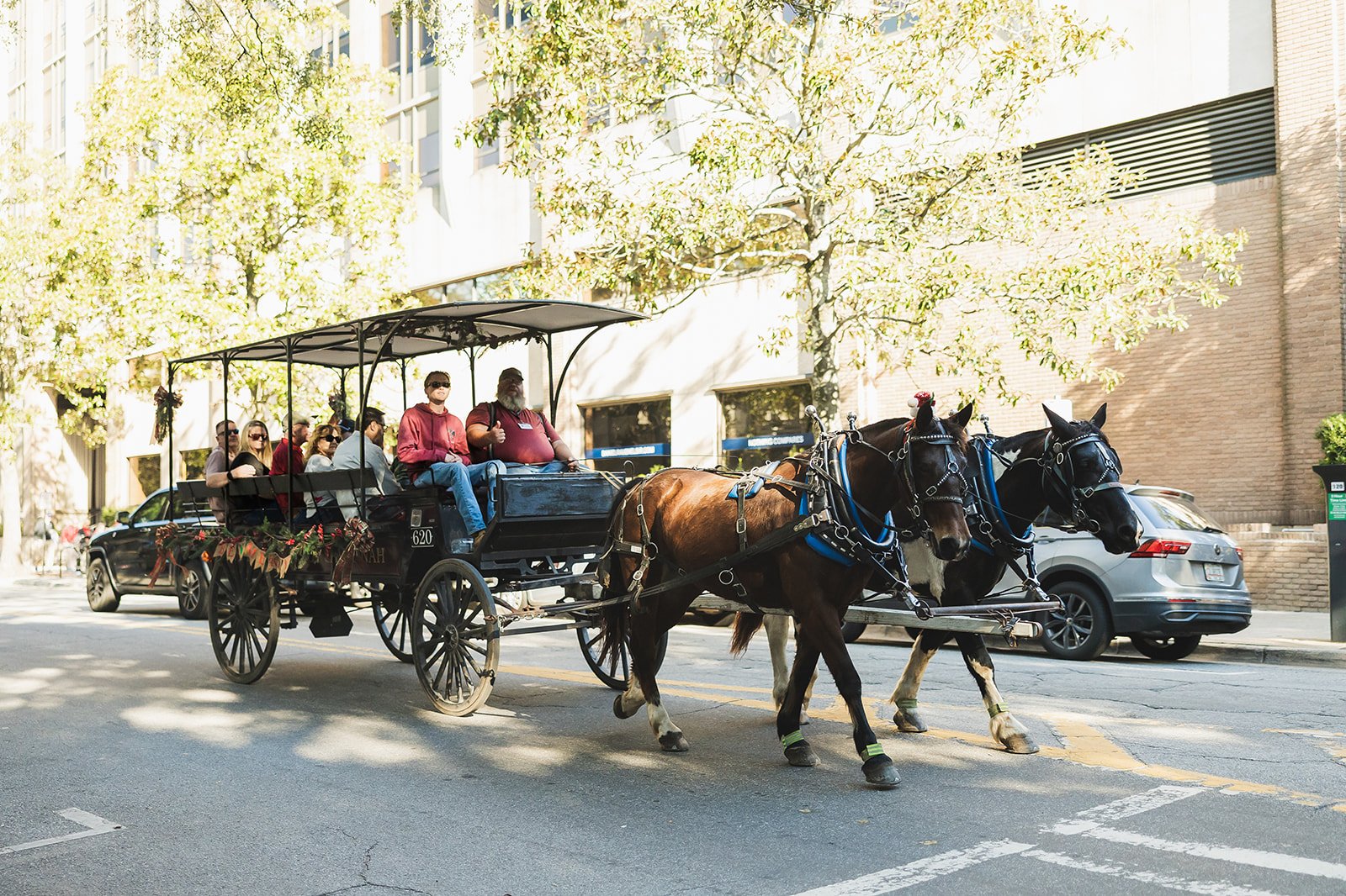 Carriage and horses pass historic buildings in Savannah's historic district
