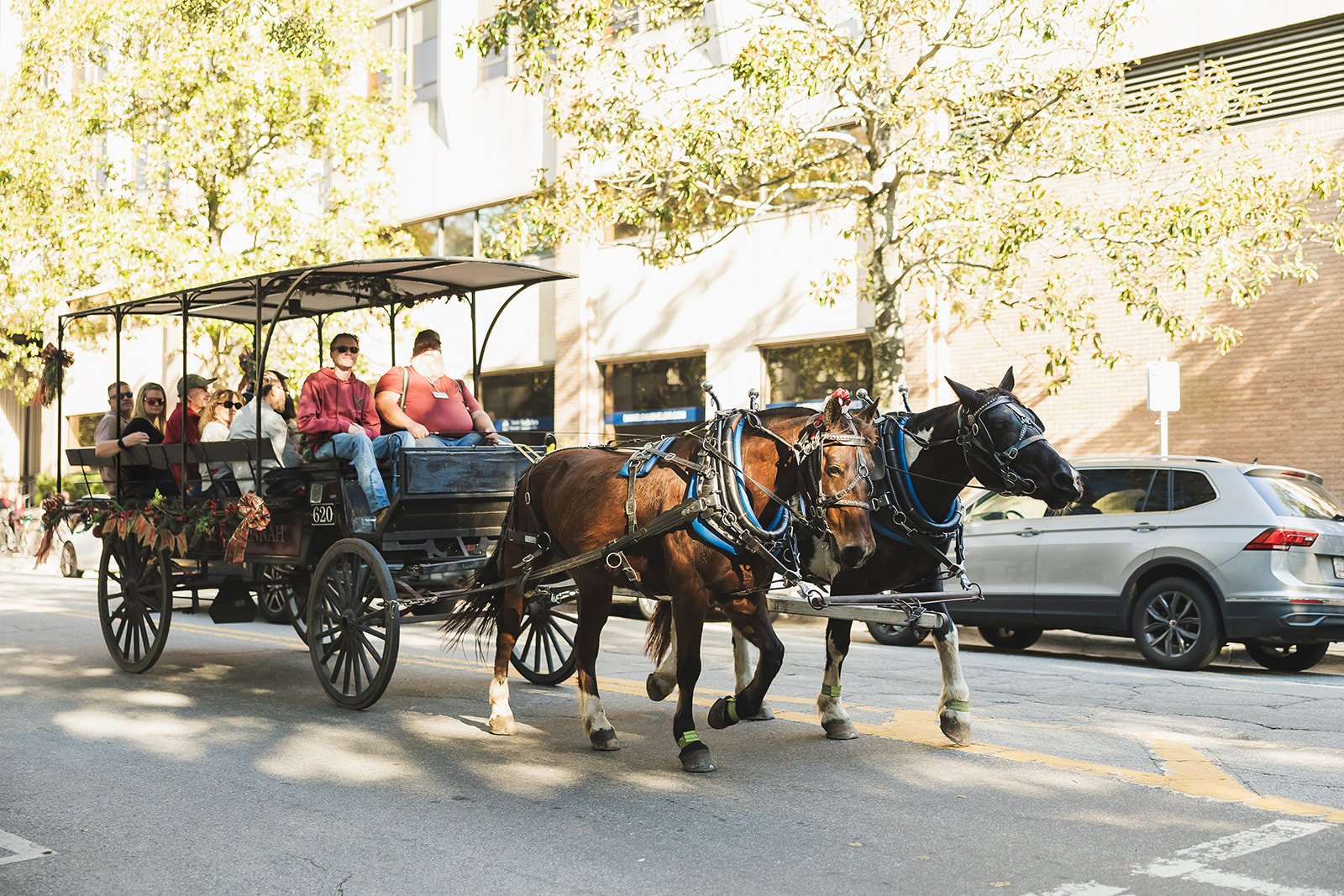 Horse-drawn carriage on a street in Savannah's historic district