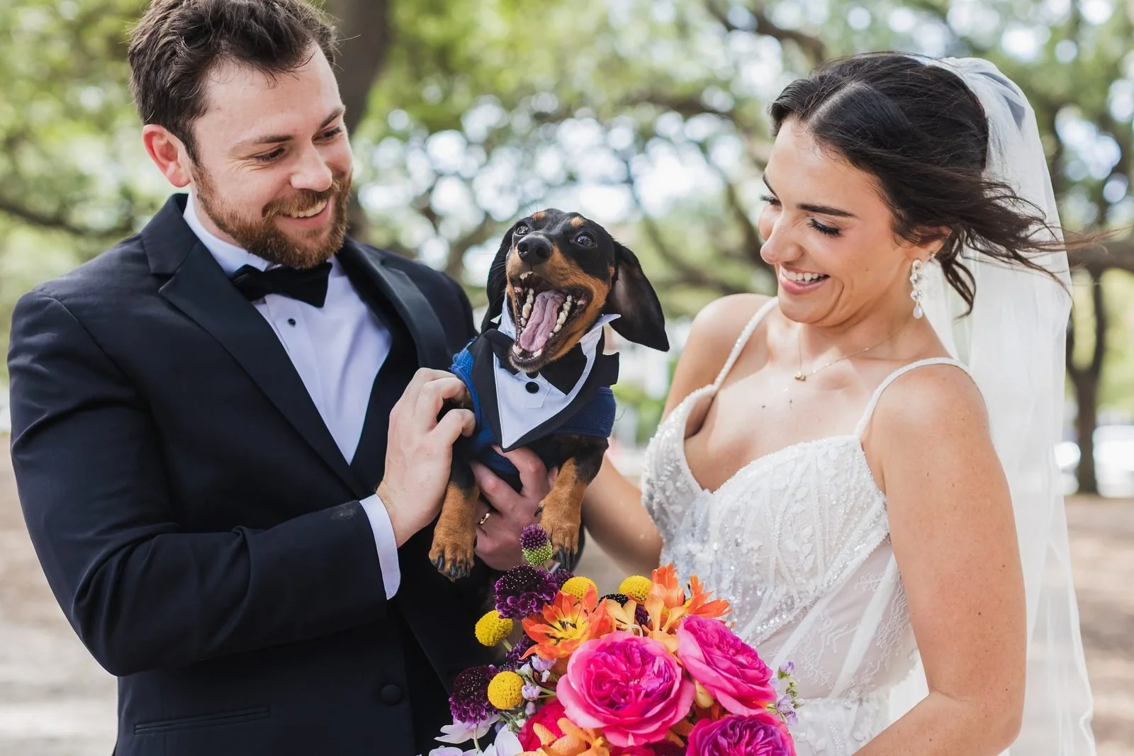 Bride and groom laughing at their dachshund dressed in a tiny tuxedo at a Charleston area wedding