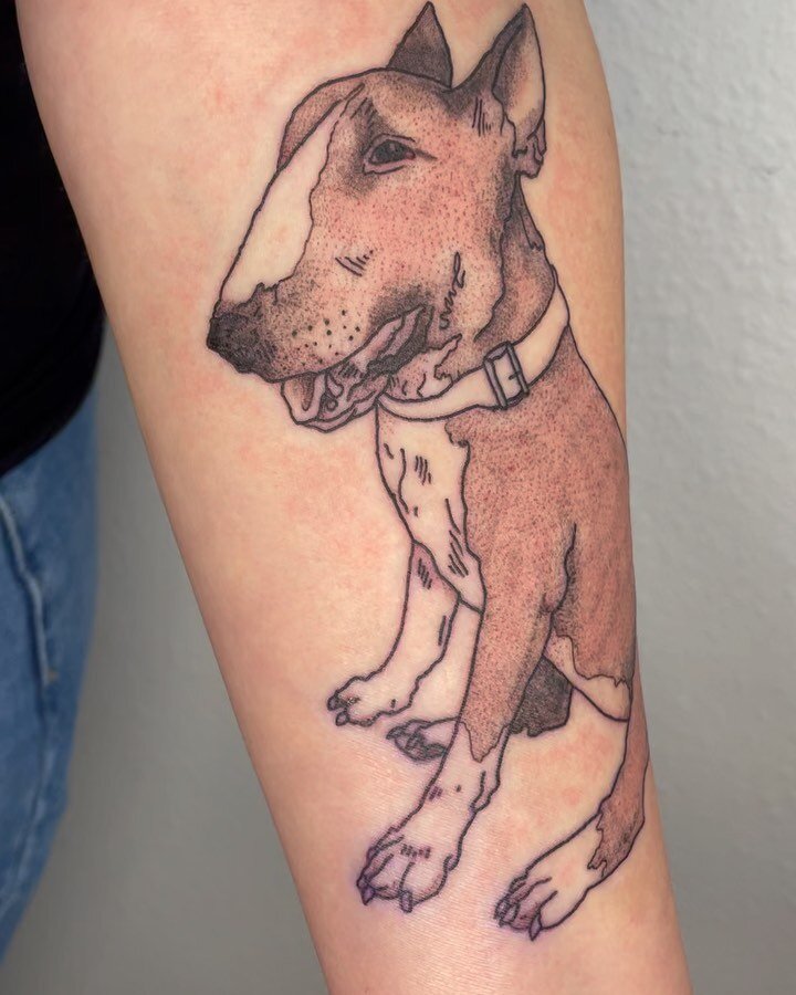 A custom portrait of Katurah&rsquo;s dog, HANK! 
We&rsquo;re doing another of their cat ghost tomorrow so keep your eyes peeled 👀 
((Sound on for my embarrassing gushing over hank))
#pdxtattoo #tattoo #petportrait #pdxart #queertattooartist #constel