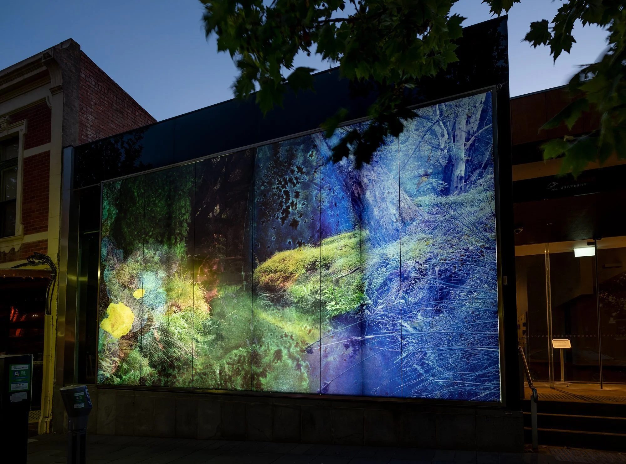 'Rising gently about here', La Trobe Art Institute, Bendigo, Victoria, Australia, 2021-2022. Photo by Ian Hill.