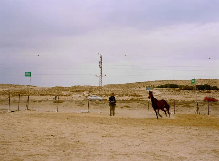 04_el-grein_01.jpg