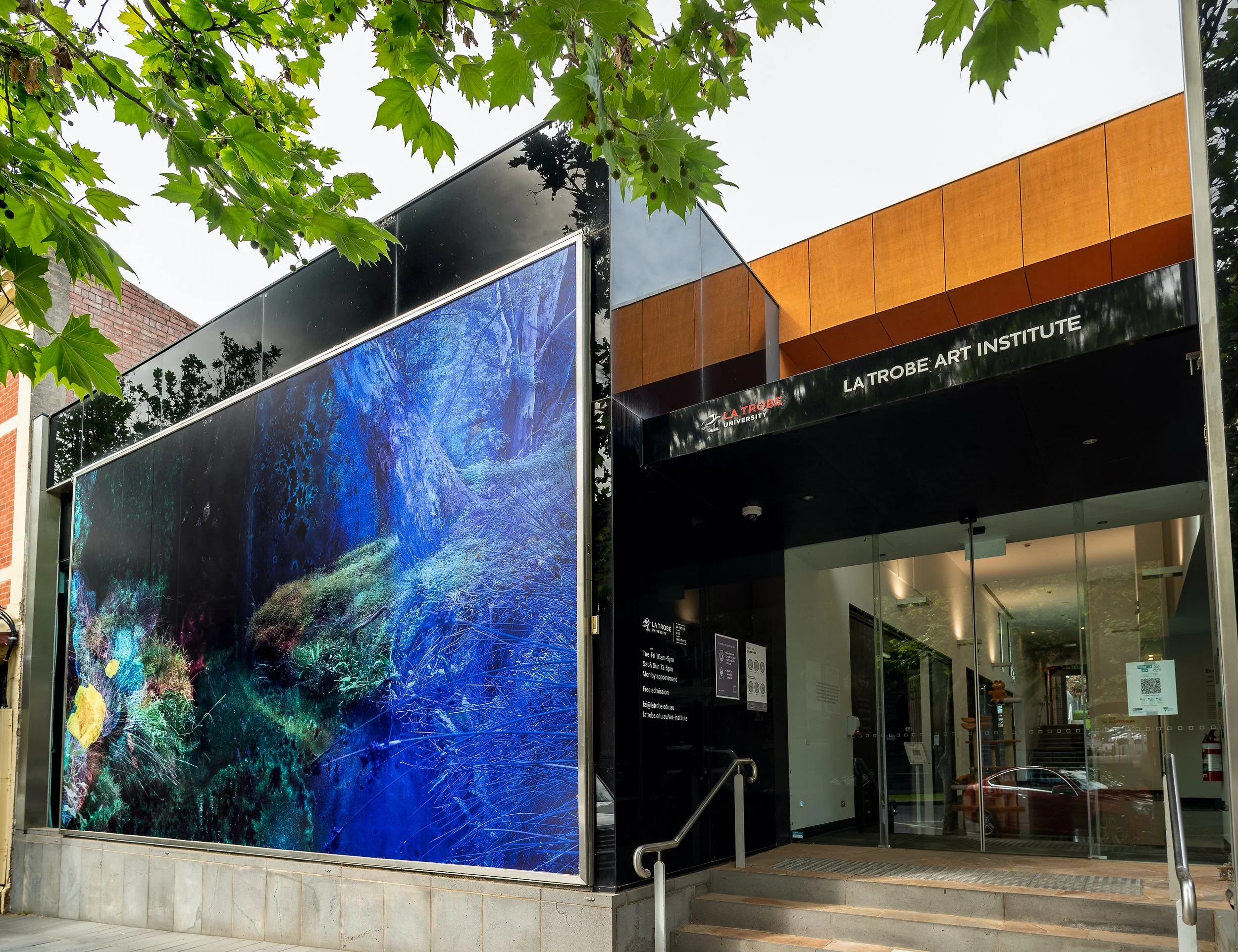 'Rising gently about here', La Trobe Art Institute, Bendigo, Victoria, Australia, 2021-2022. Photo by Ian Hill.