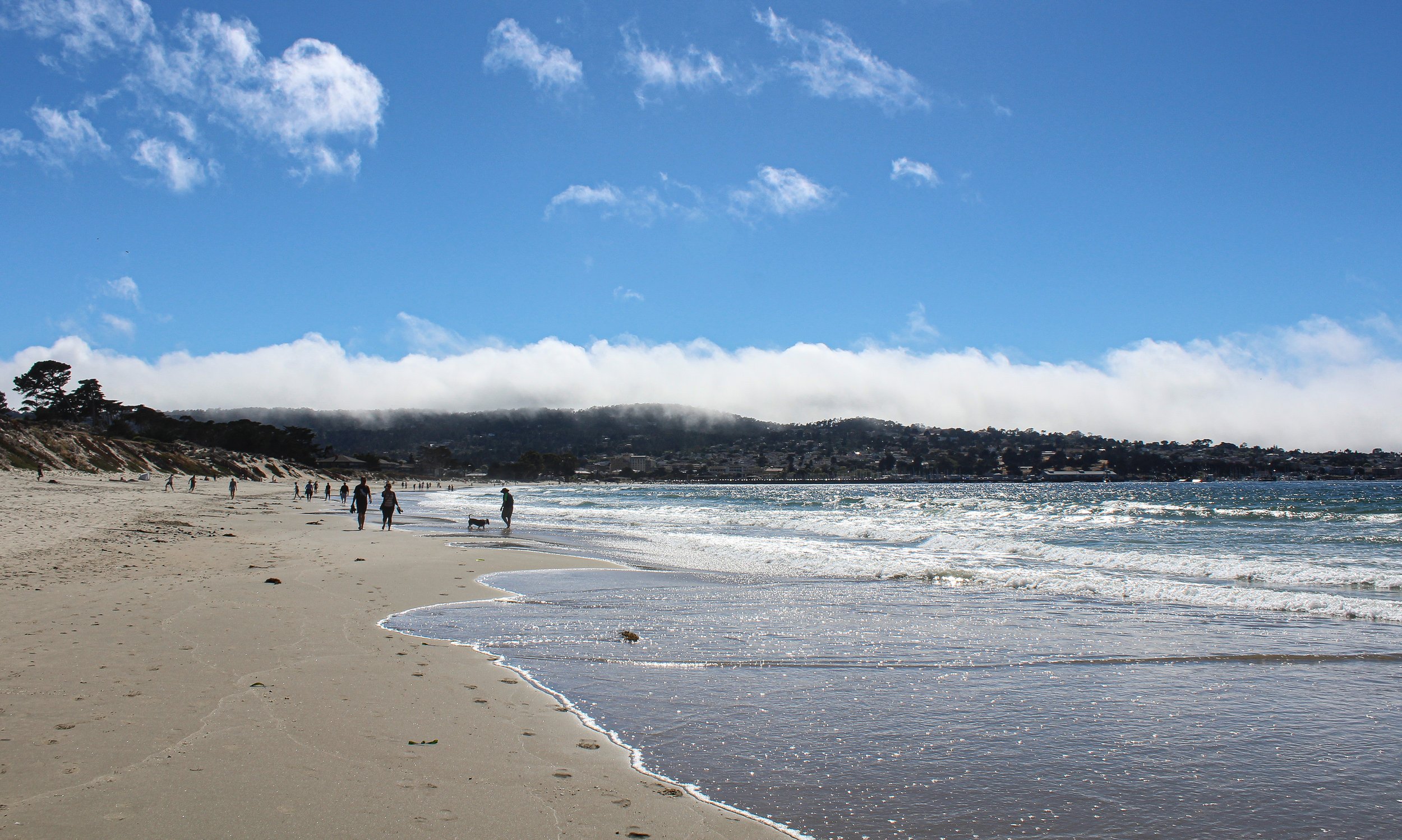 The further North one travels from Monterey, the sandier the beaches become. The further South one goes, towards Carmel and Big Sur, the more rocky and scenic the coastline becomes.
