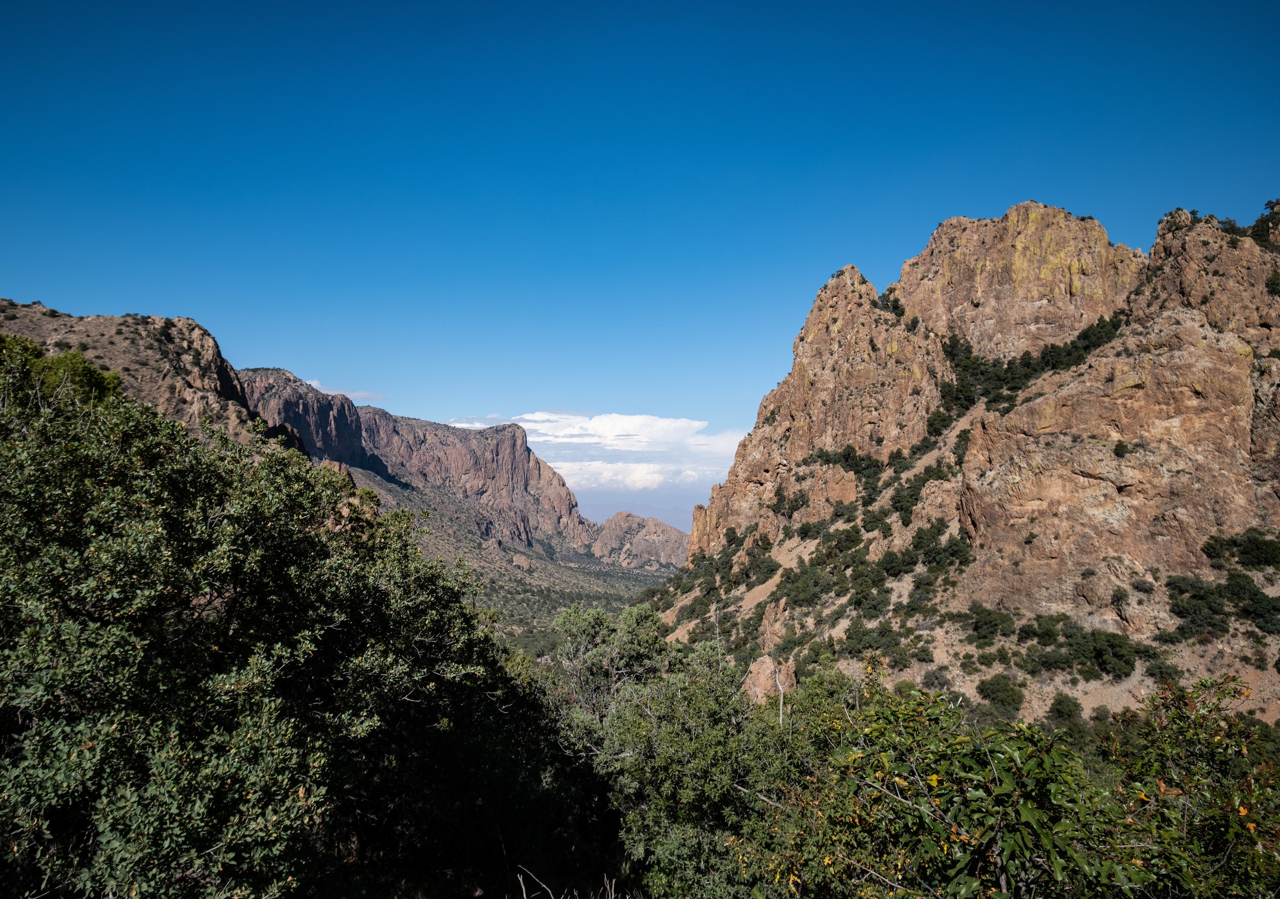 DSCF0450-2.jpg
