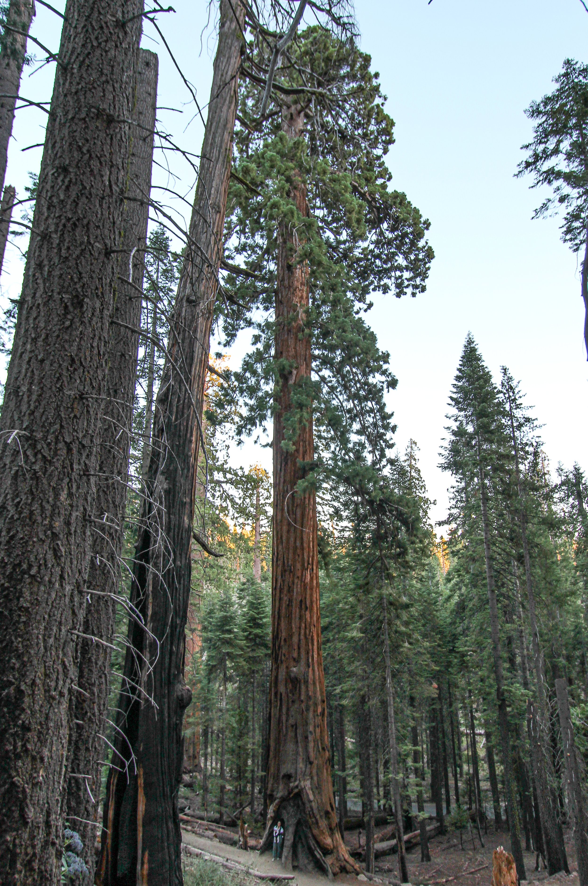 IMG_3362.jpg