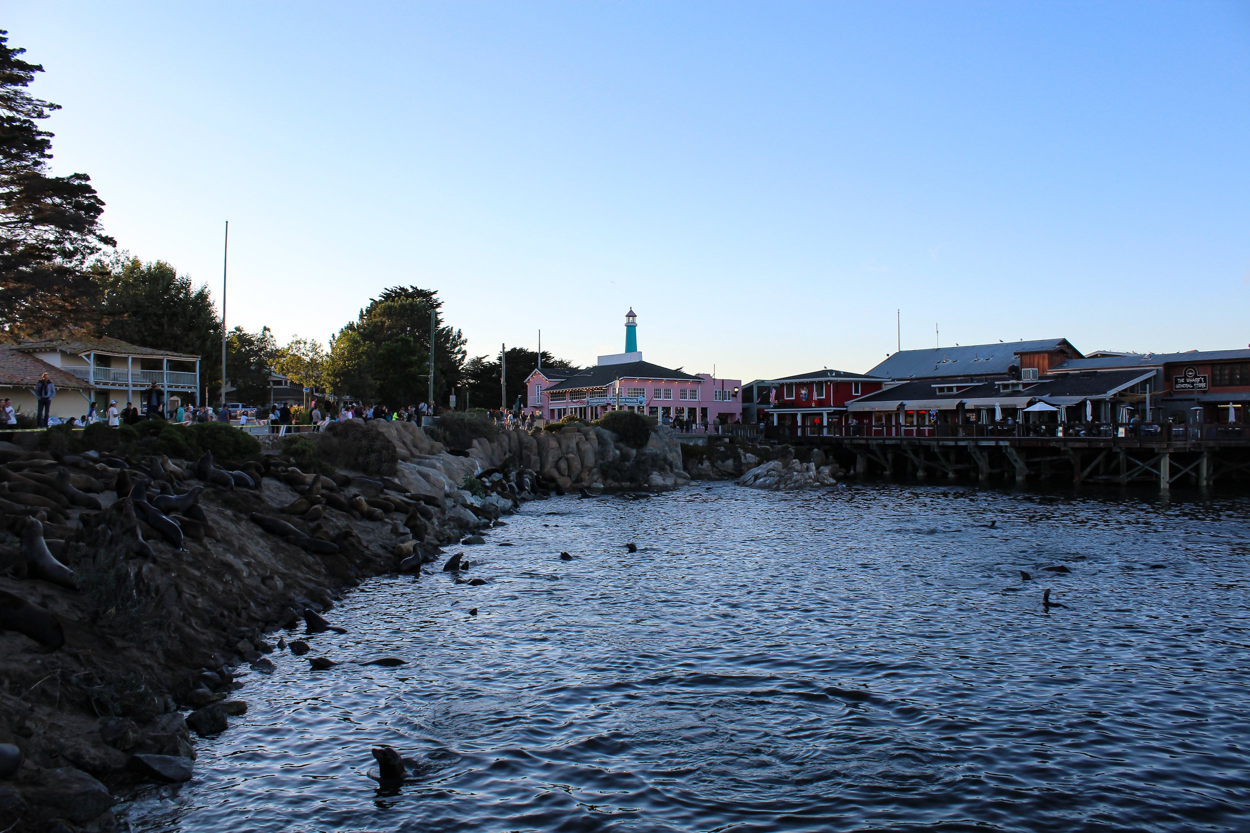Fisherman's Wharf