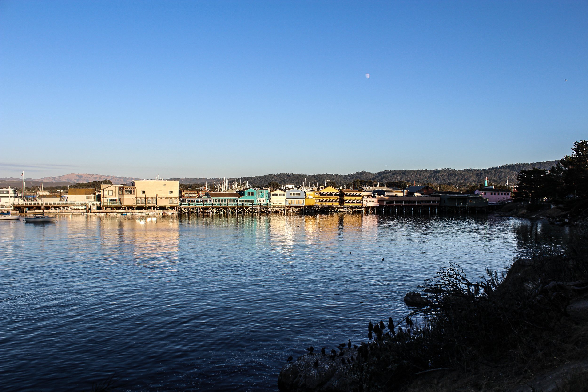 Fisherman's Wharf