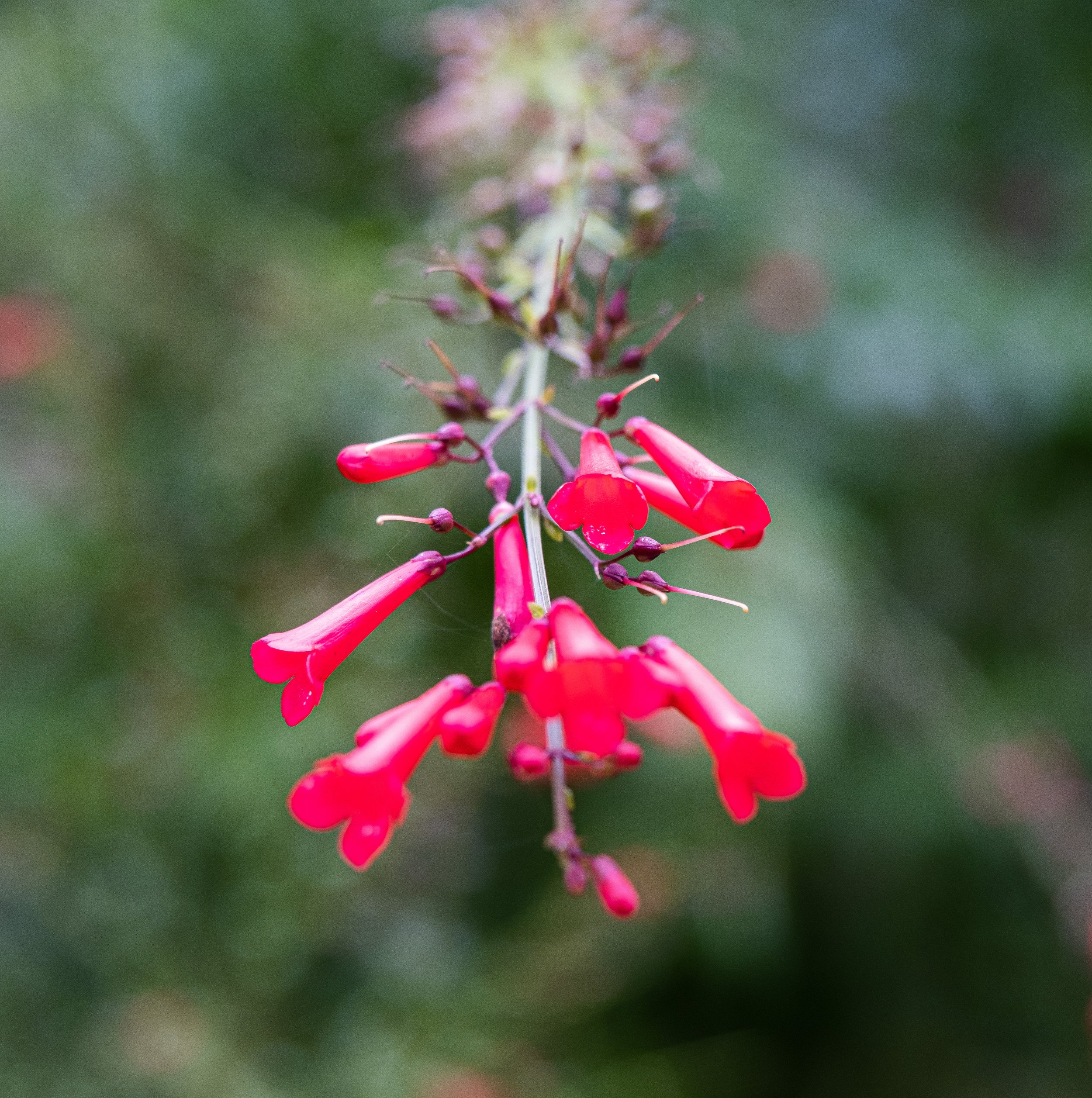 DSCF0370.jpg