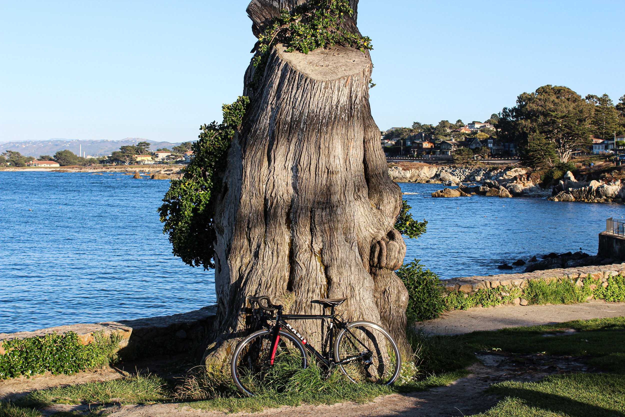 Thankful for this bike, he's taken me on many an adventure