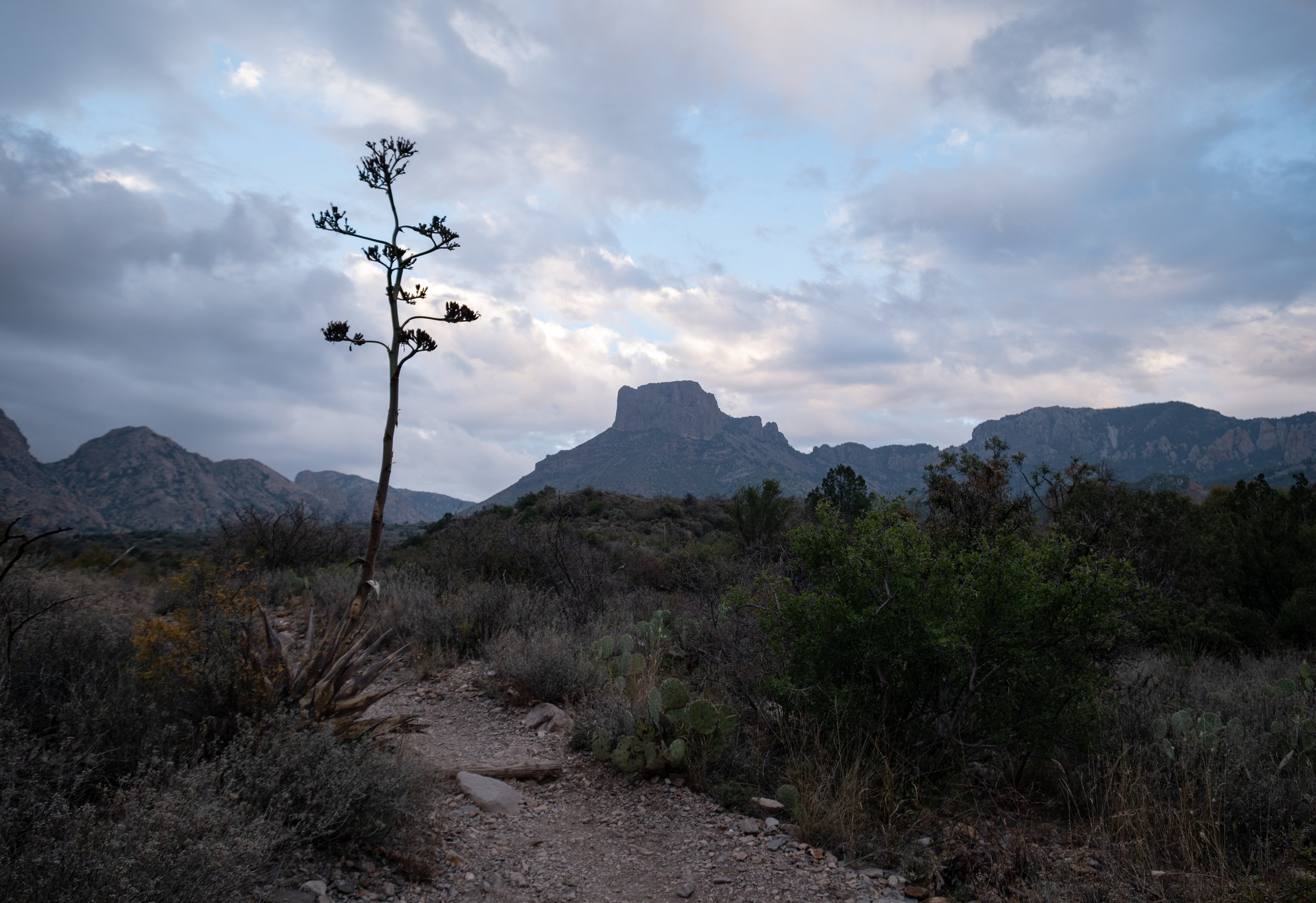 DSCF0703.jpg