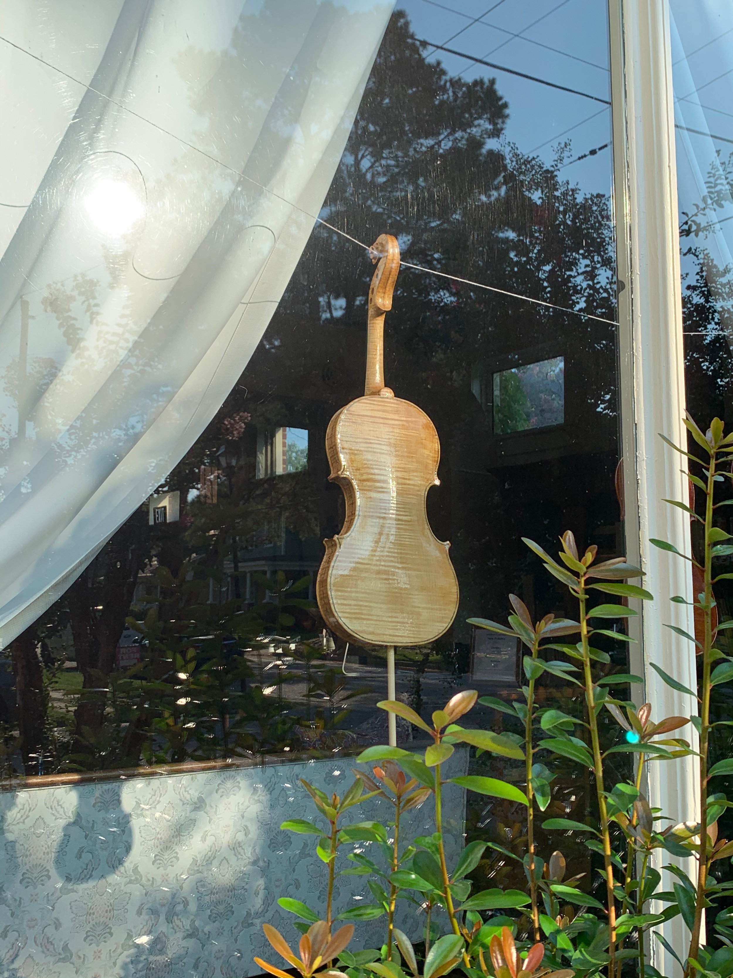 Psalm 1 hanging out in the sun, waiting for the varnish to dry.