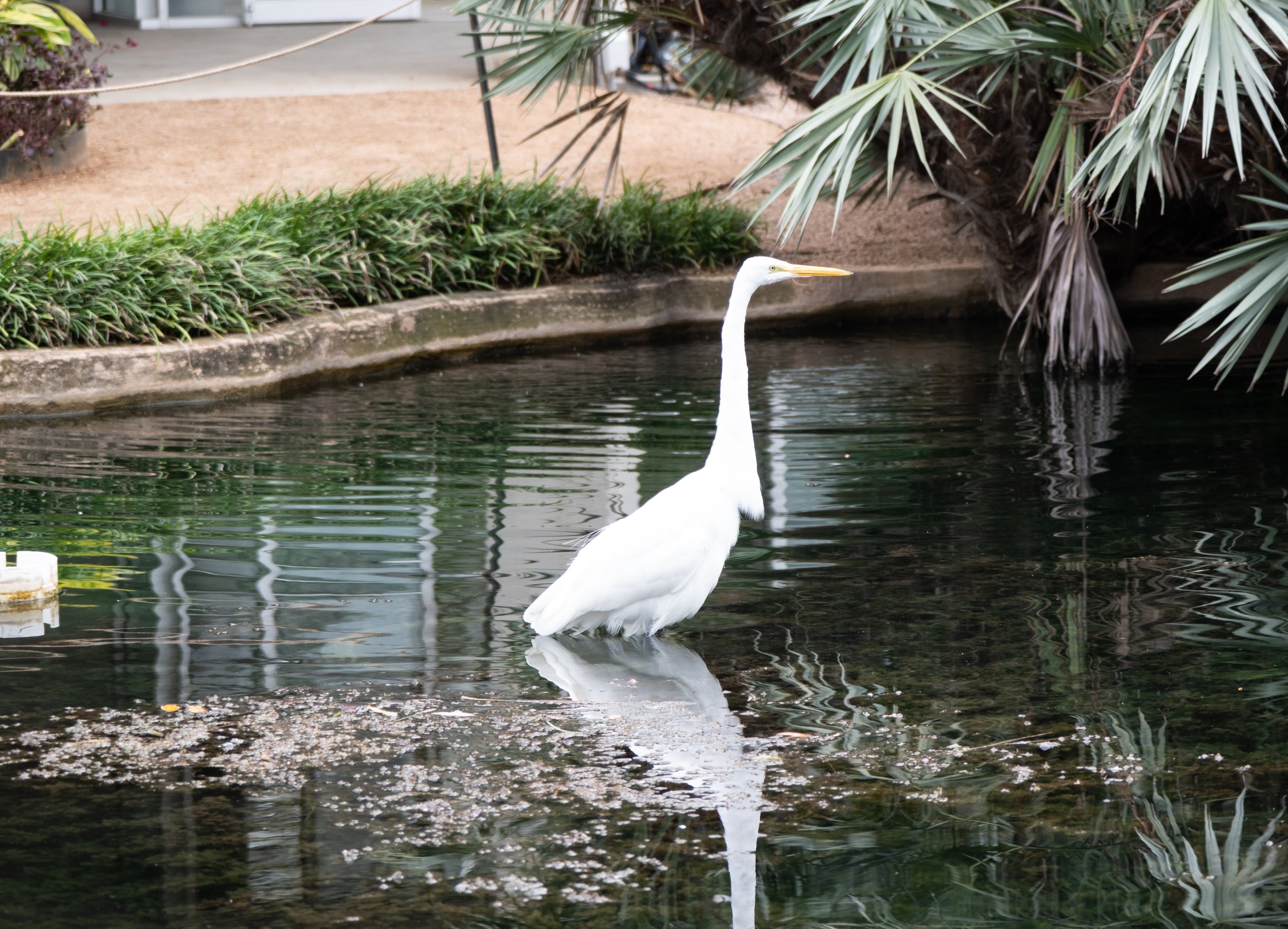 DSCF0164.jpg