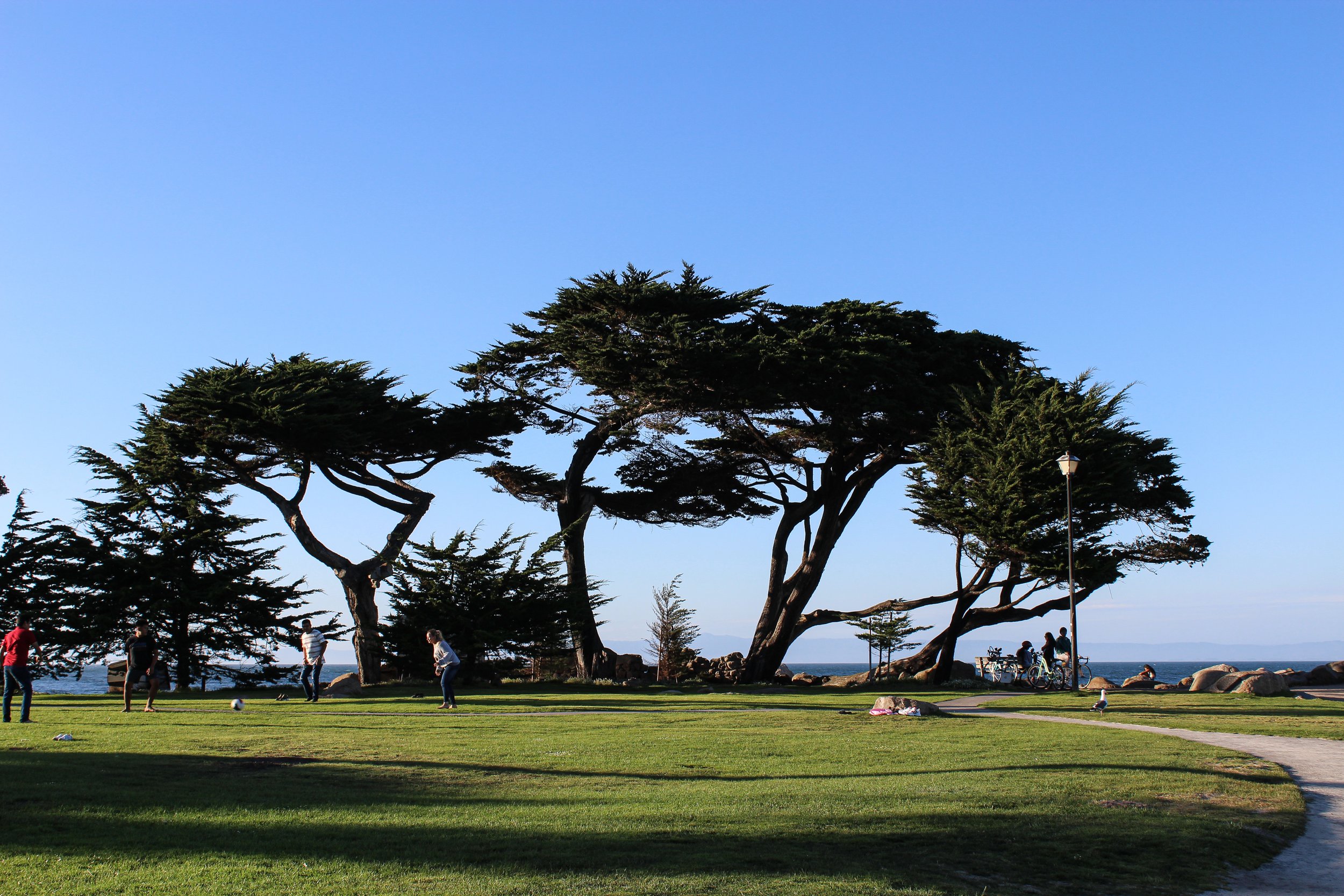 Lover's Point