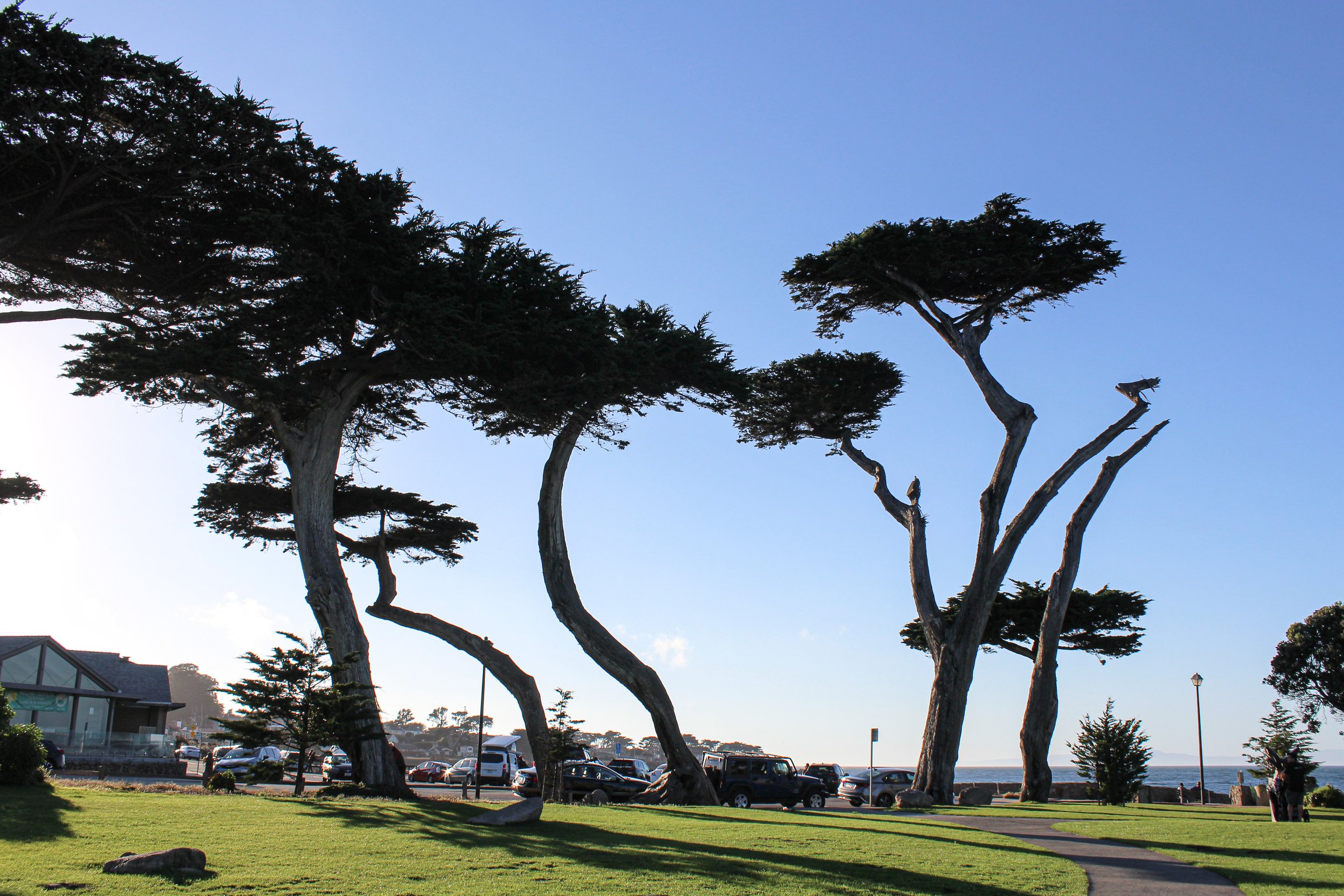 Lover's Point