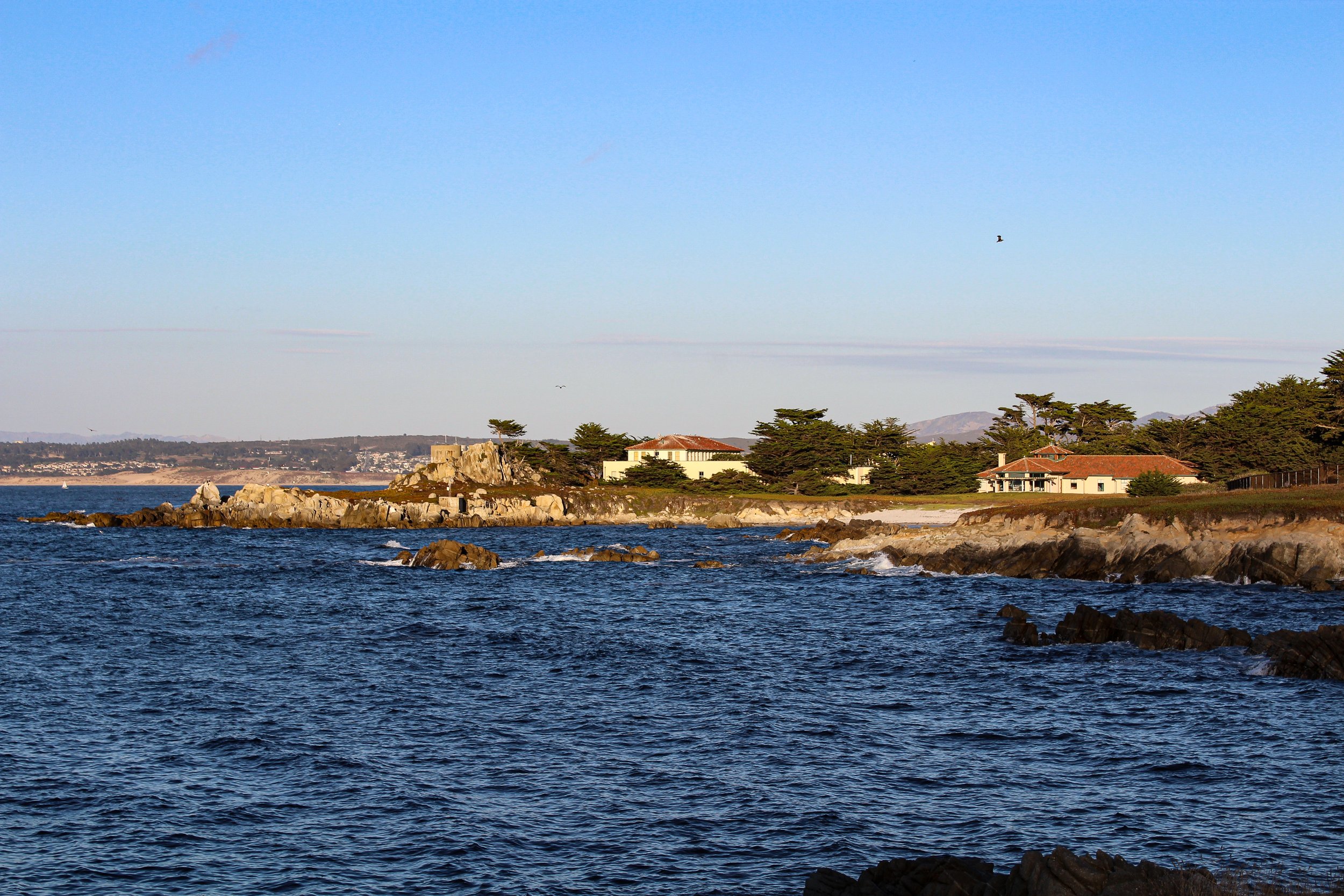 A view from a walking/bike path in Pacific Grove