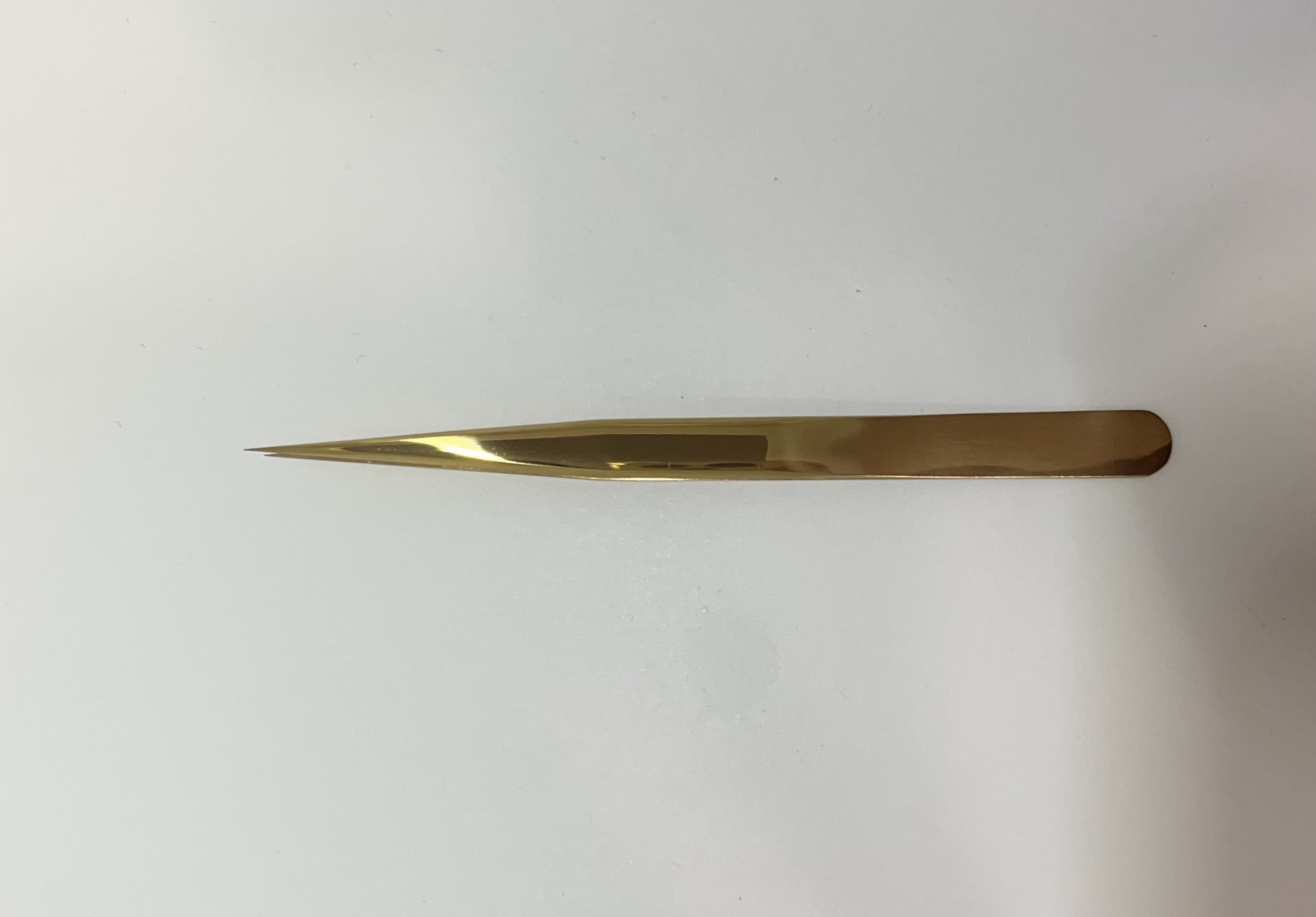 TTIE01_GoldStraight.v2.jpeg
