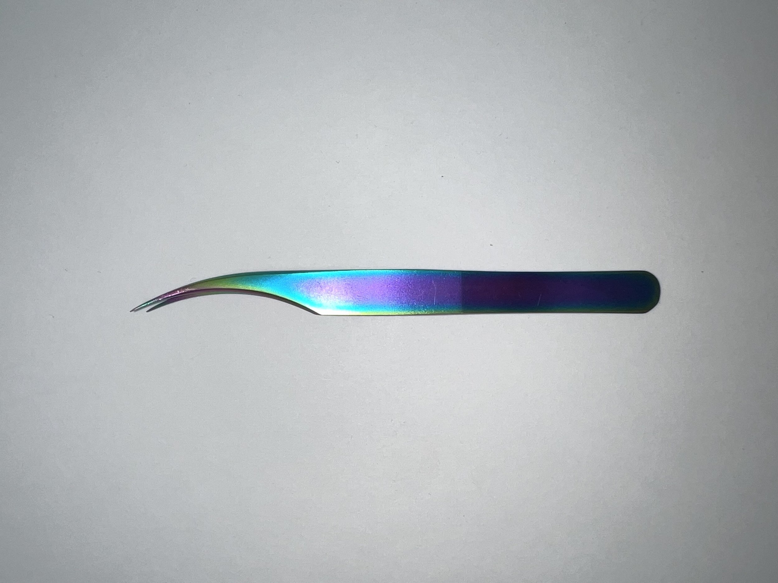 TTSG02_RainbowDolphin.v2.jpeg