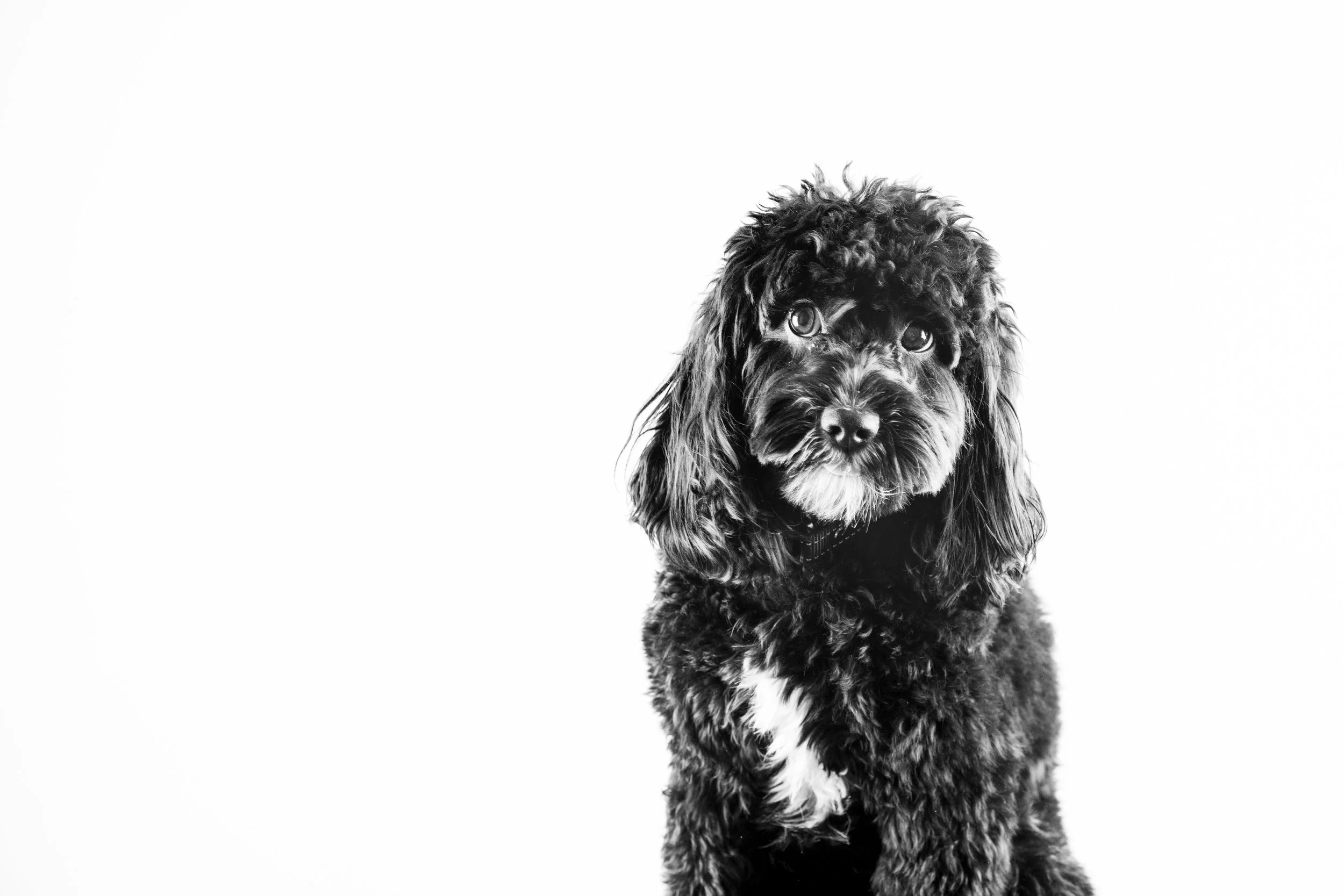 Abloh-1222-2743 copy.jpg