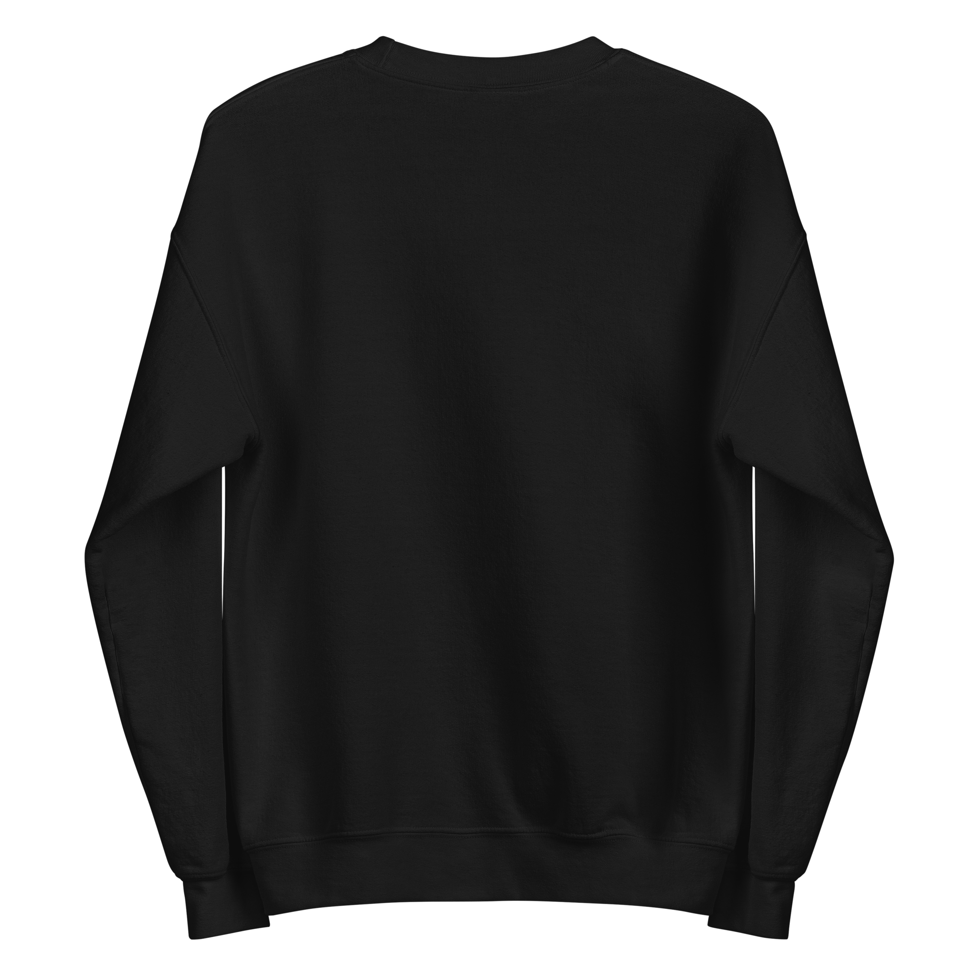 unisex-crew-neck-sweatshirt-black-back-695cb97fe1b4d.png