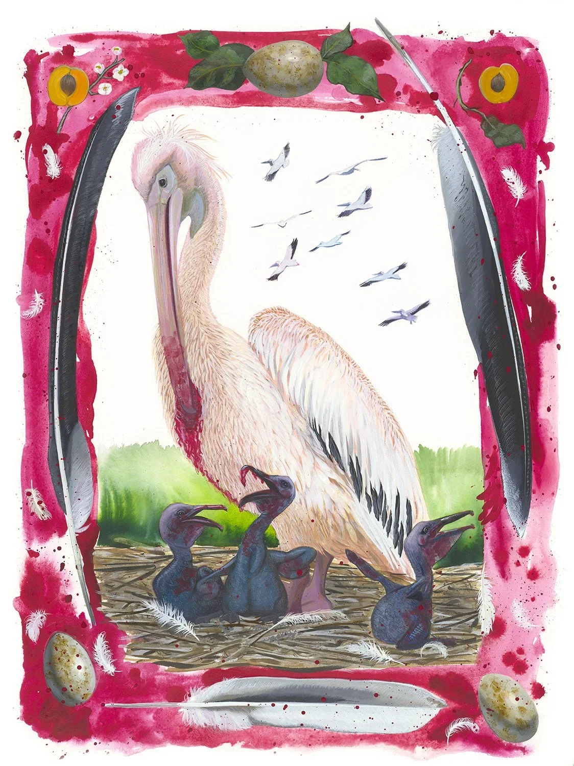 Great White Pelican (Pelecanus onocrotalus)