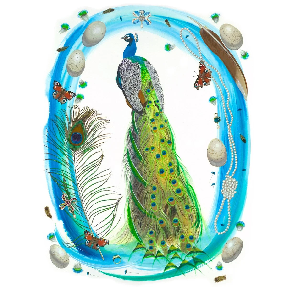 Peacock (Pavo cristatus)