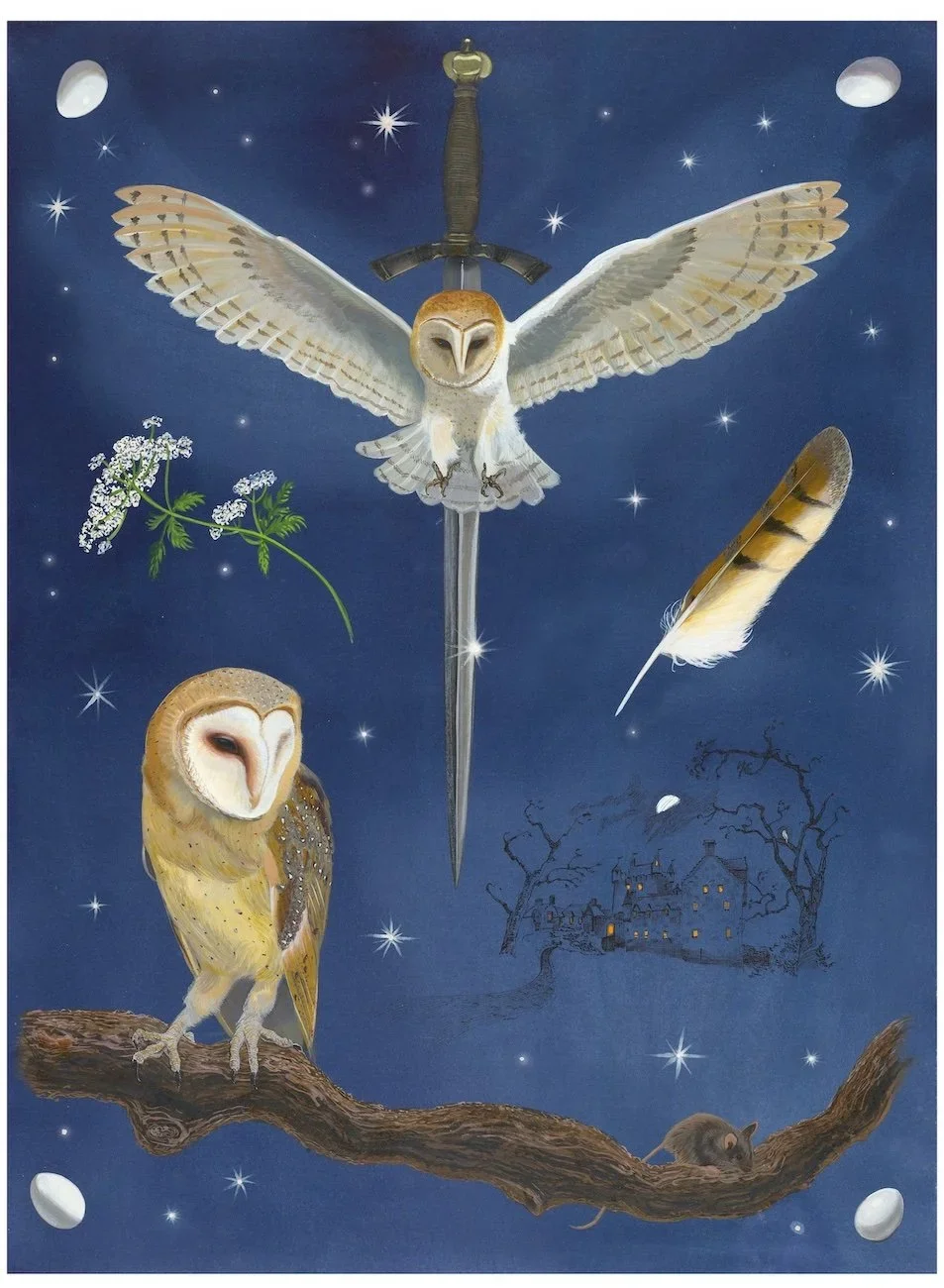 Barn+Owl+Final+copy.webp