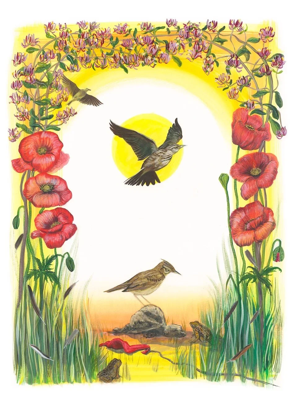 Eurasian+skylark+painting.webp
