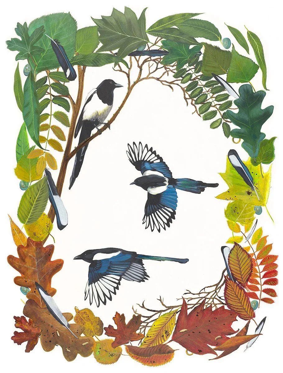 Magpie+painting.webp