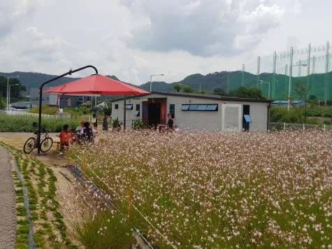 양주시 나리공원.jpg